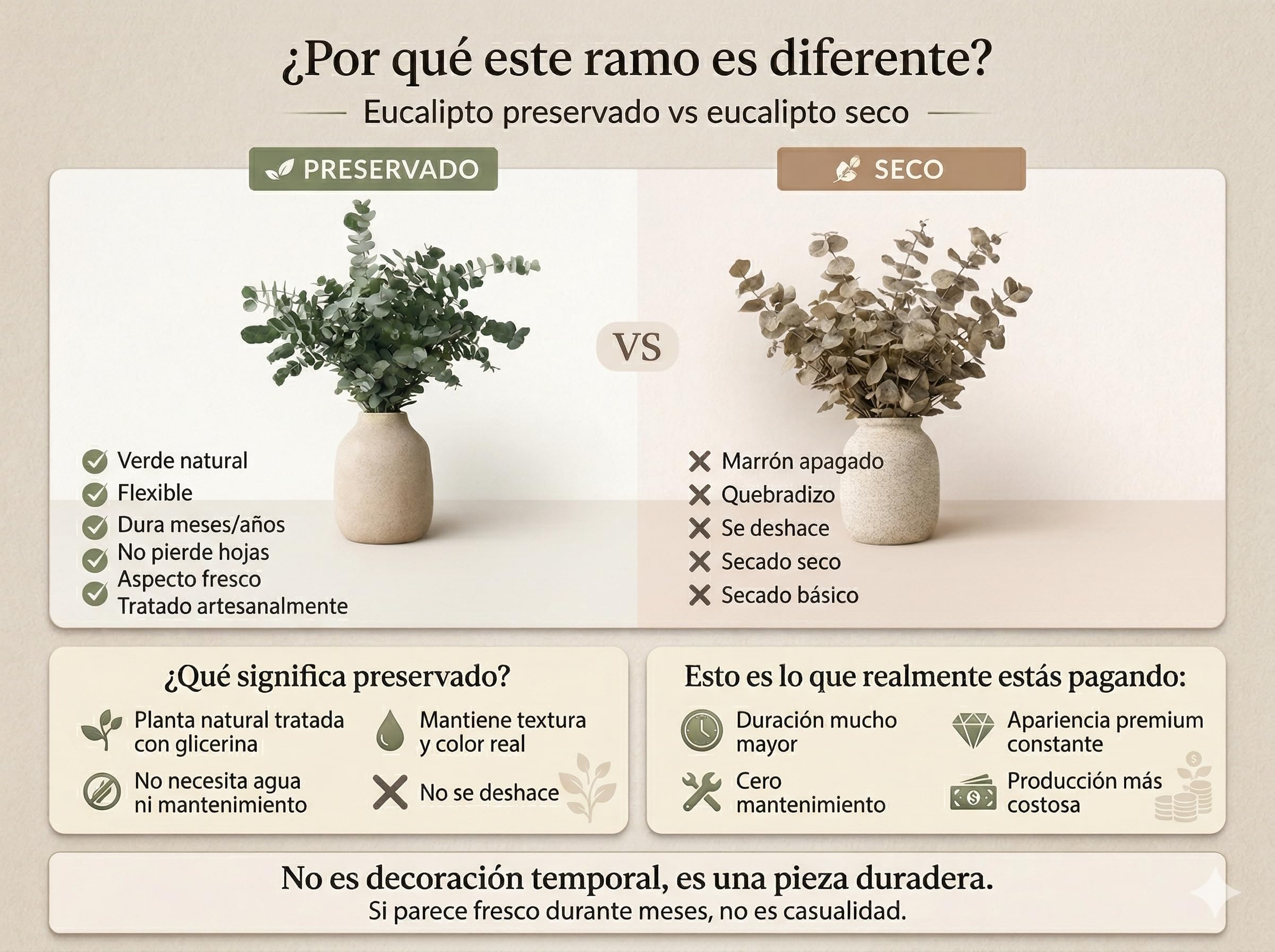 FLORES SOLIDARIAS - Flores Preservadas - Ramos de Flores Preservadas Naturales - Eucalipto Preservado - Regalo día de la Madre - Regalo Aniversario, Regalos San Valentín - Envio 24 h