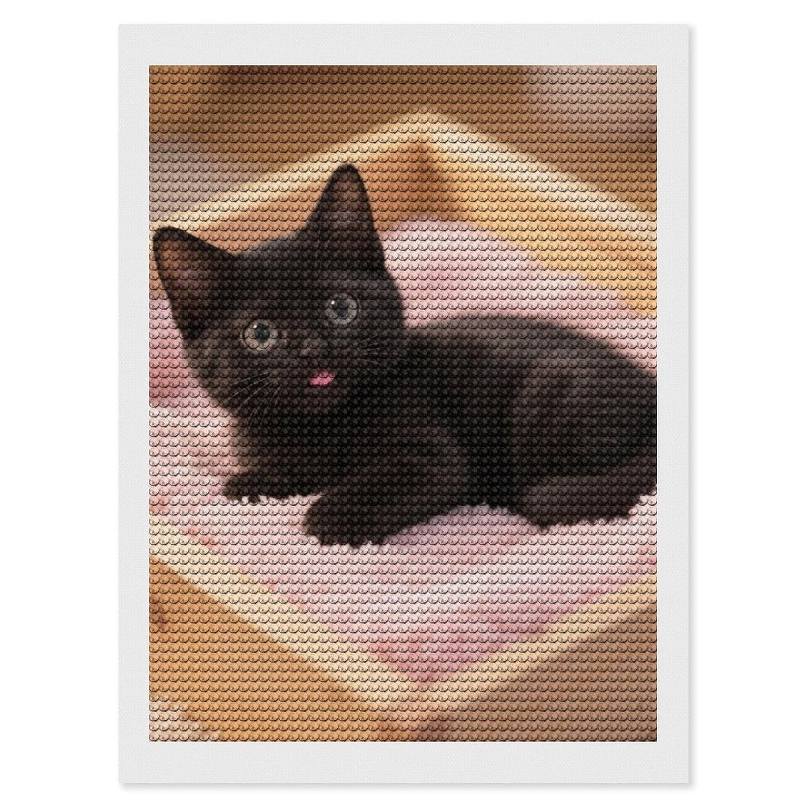 DWVTSLH Cute Black Cat Diamond Painting Kits for Adults, Personalized Diamond Photo Art Full Drill, DIY 5D Diamond Art Painting Kits for Beginners, Home Wall Decor 12"x16"