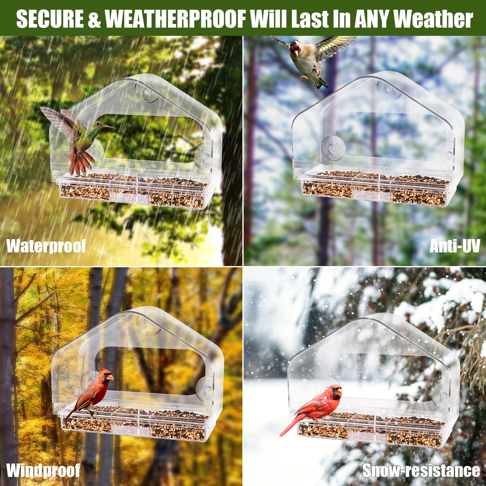 Mangeoire Pour Oiseaux, Fenêtre En Acrylique Transparente, Avec Plateau