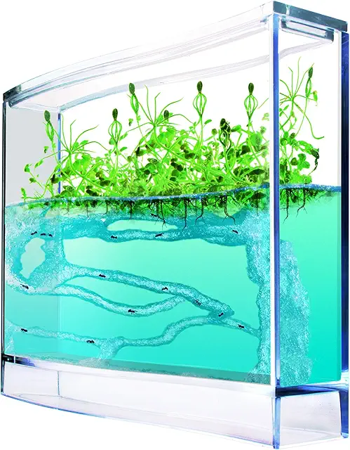 ANTQUARIUM Ameisen-Terrarium Set mit Wachstumsgel - Wissenschaftlicher Spaß