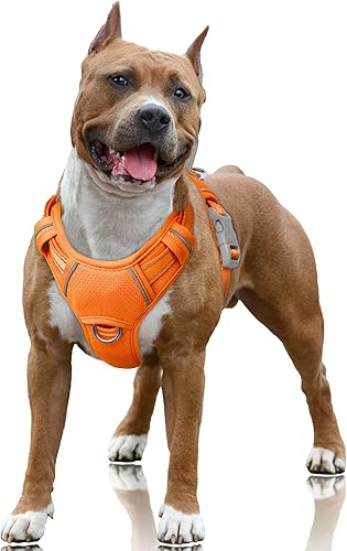 Miniatura 22 de BARKBAY - Arnés sin tirones para perro, reflectante, con clip frontal y asa de fácil control para entrenamiento, paseos y correr, con bolsillo