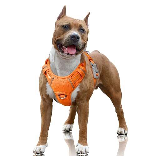BARKBAY Arnés para Perro, sin tirones, Reflectante, Grande