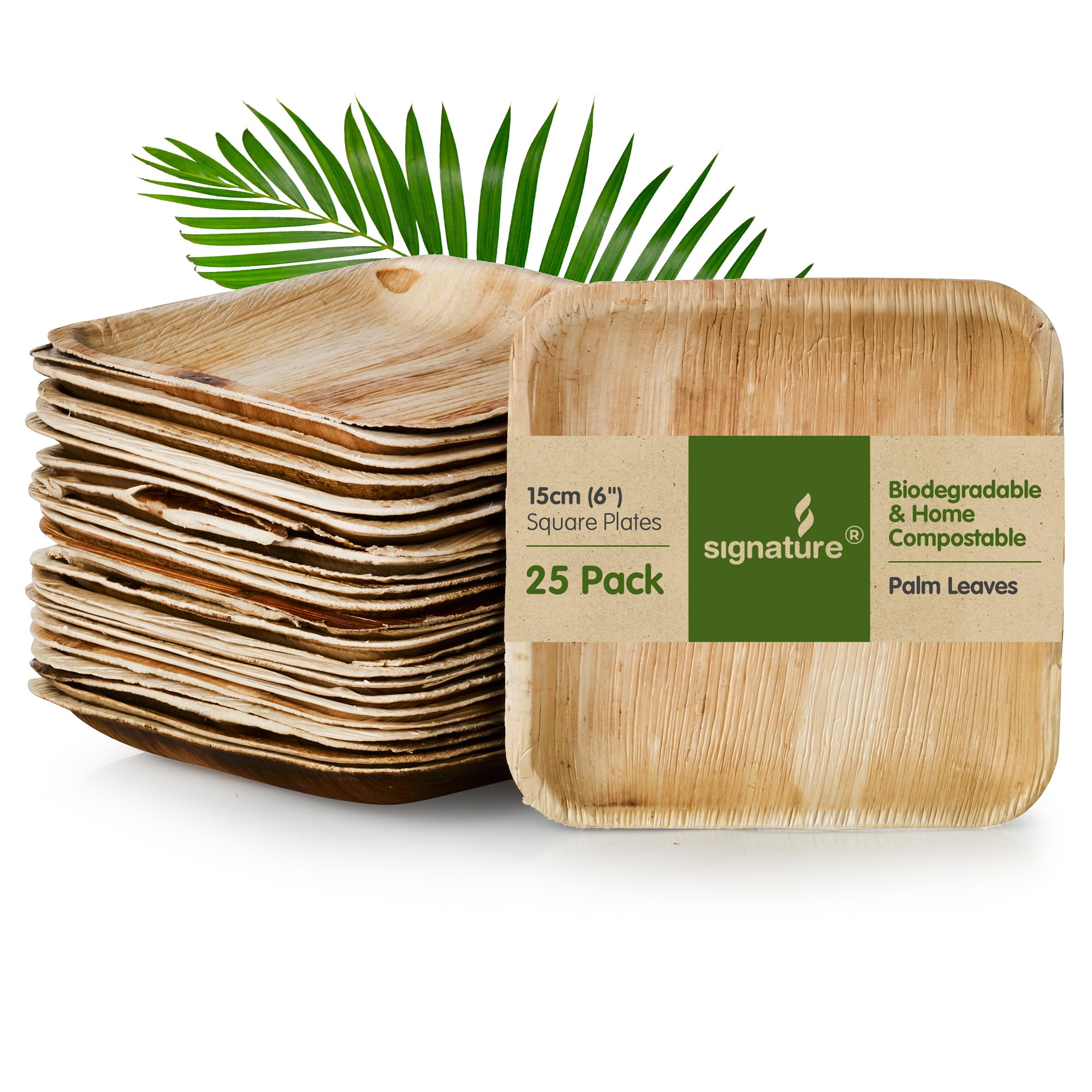 Signature Packaging - Disposable Palm Leaf Plates - Sturdy, Medium Square Plates - 15cm, 25 Pack