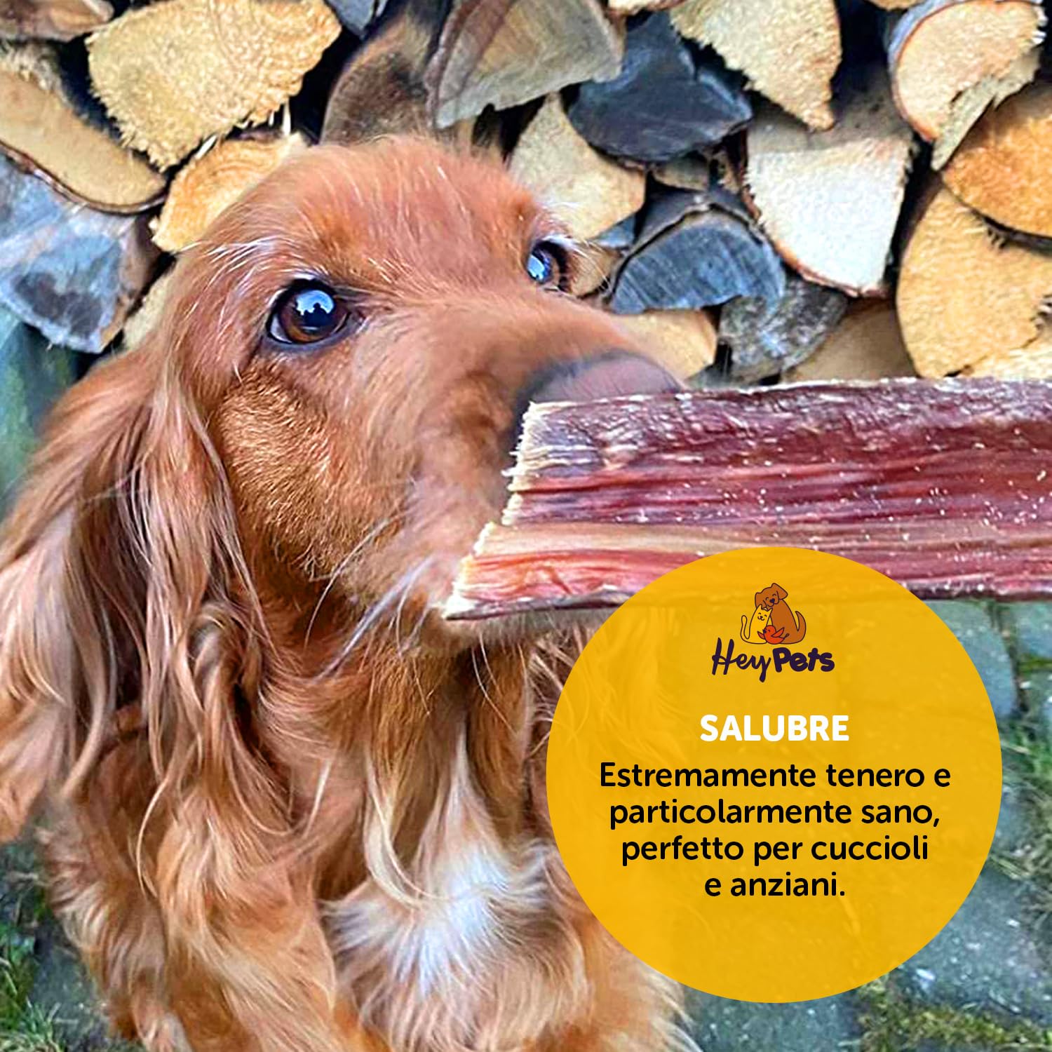 Hey Pets Snack Naturali Per Cuccioli - Bastoncini Di Manzo 100% Naturale Per Cura Denti E Allenamento - Foto 9