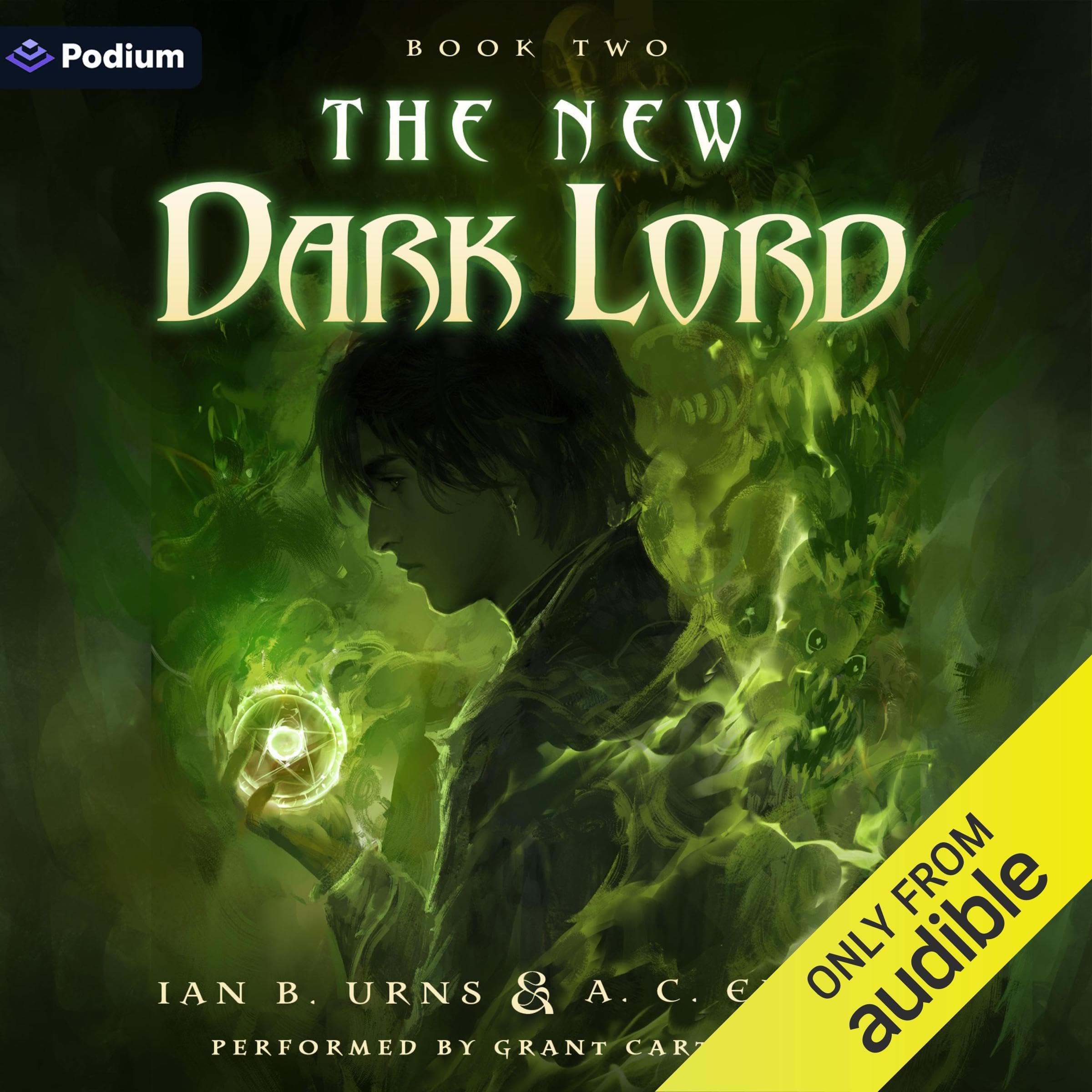 Cover art for The New Dark Lord 2: An Isekai Progression Fantasy