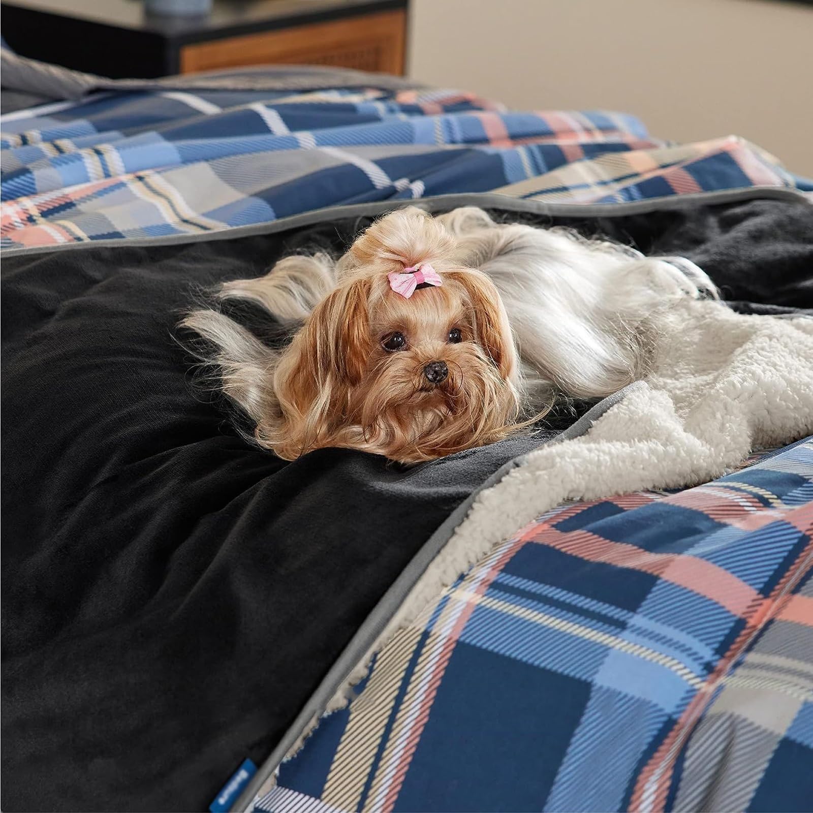Couverture pour Chien Réversible Chien Hydrofuge Protection pour Canapé Lavable en Machine pour Chiens Et Chats (Color : Nero, Size : M 100 * 120CM/39 * 47IN)