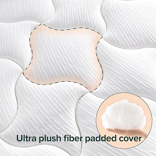 Miniatura 5 de ZINUS Colchón de espuma con memoria Cloud de 8 pulgadas, Twin, sin fibra de vidrio, alivio de presión, colchón en una caja, certificado CertiPUR-US,