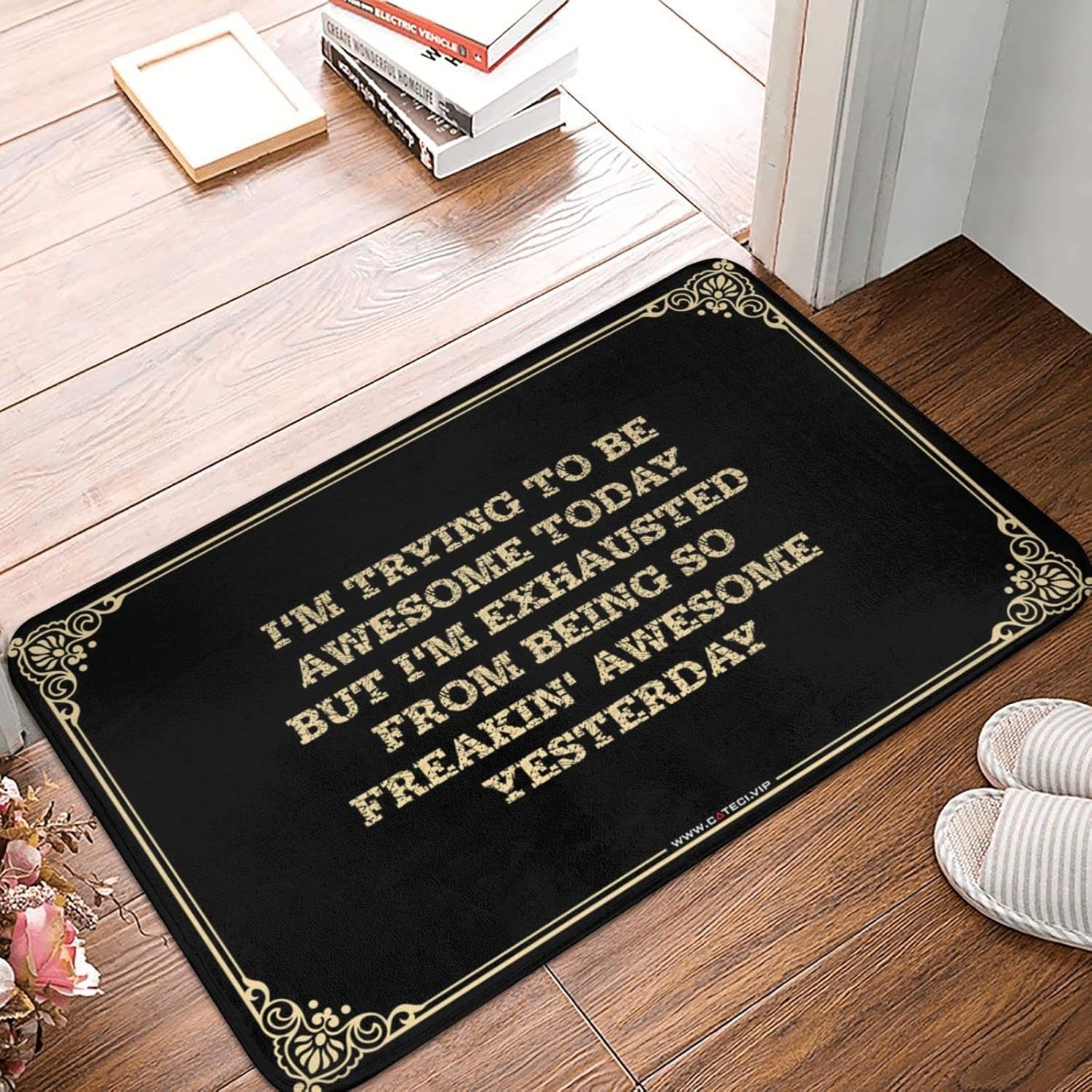 Doormat Indoor Entrance Funny I'm Trying to Be Awesome Today But I'm Exhausted from Being So Freakin' Awesome Yesterday Doormat Kitchen Farmhouse Rug Farmhouse Front Door Mat(Size:65X90CM)