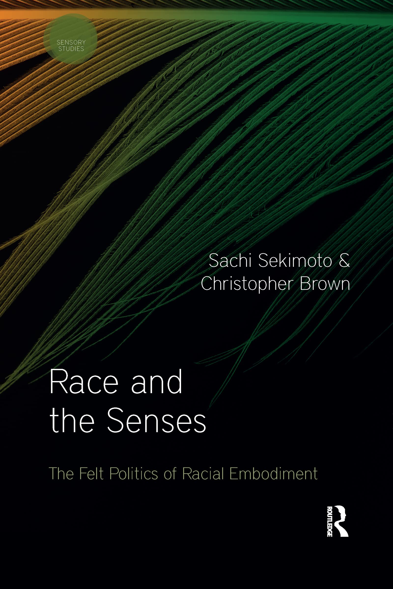 Race and the Senses: The Felt Politics of Racial Embodiment (Sensory Studies)