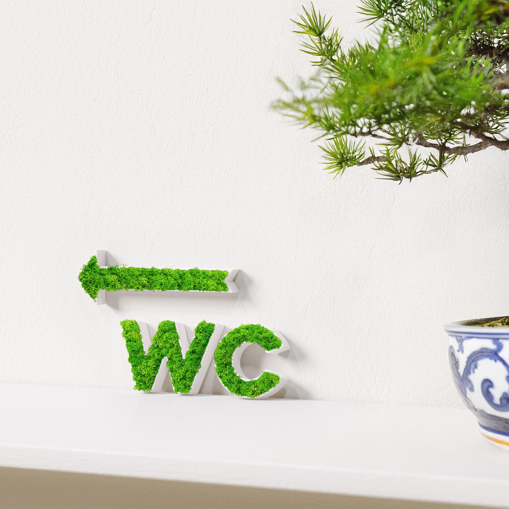 Tabliczka na drzwi WC i zestaw strzałek | nowoczesna tabliczka toaletowa i drogowskaz z prawdziwym mchem islandzkim | obraz z mchem toalety, drogowskaz do biura, gabinetu i hotelu (biała