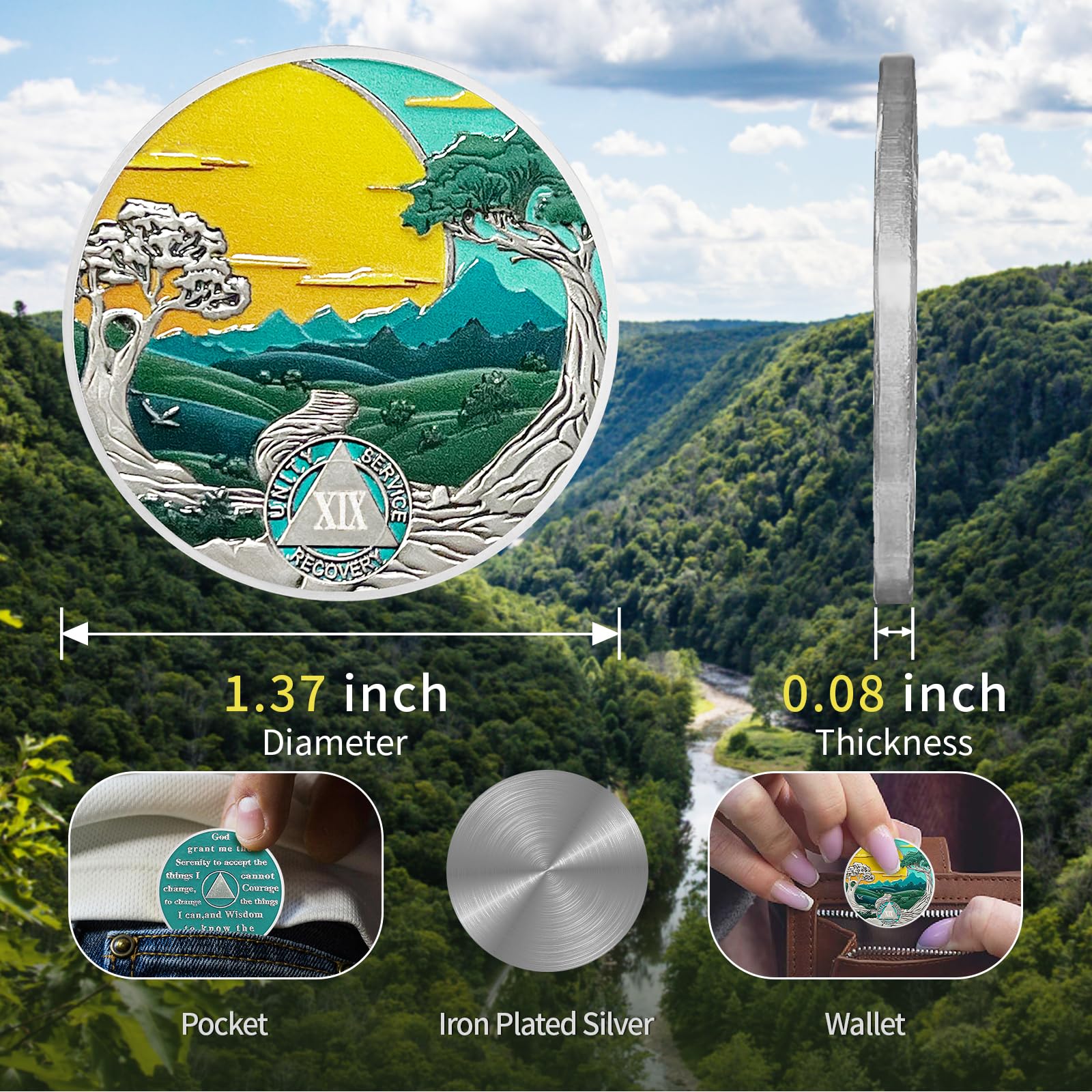 Moneda de sobriedad de 19 años, chips de sol para alcohólicos anónimos, medallón AA y medallón, regalos de sobriedad para hombres y mujeres, regalo de recuperación de símbolo de aniversario, moneda de