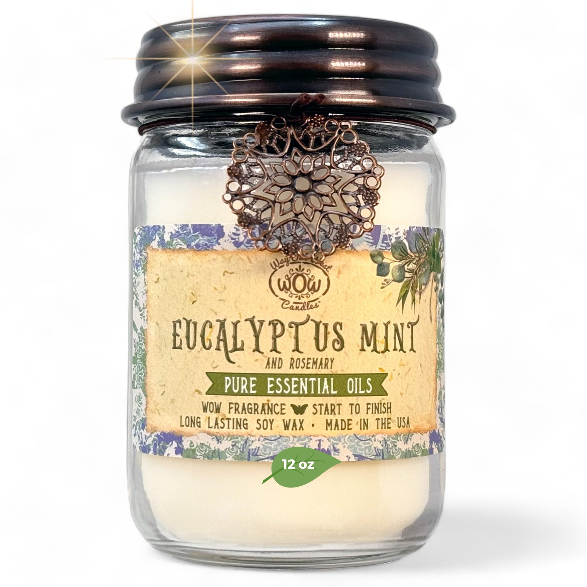 Scented Candle for Home by Way Out West Candles - Long Lasting Home Fragrance or Essential Oils - Small Candles Gifts for Women - 12 Oz Eucalyptus