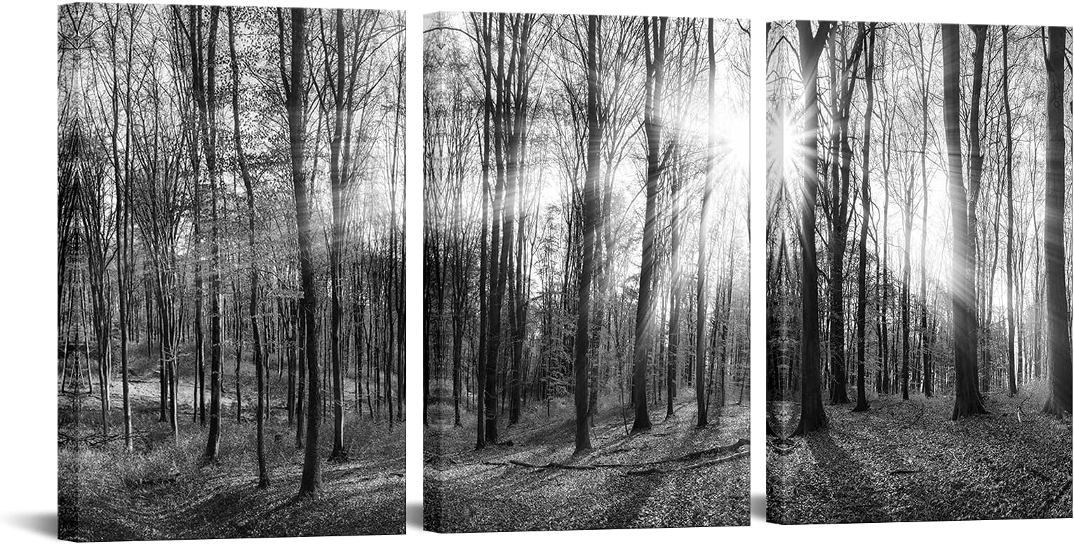 BPA 3 Panel Canvas Wall Art Black and White Forest Picture Art Prints Winter Sunrise Nature Landscape Painting Contemporary Artwork for Bedroom Living Room Office Wall Decor Framed Easy Hanging