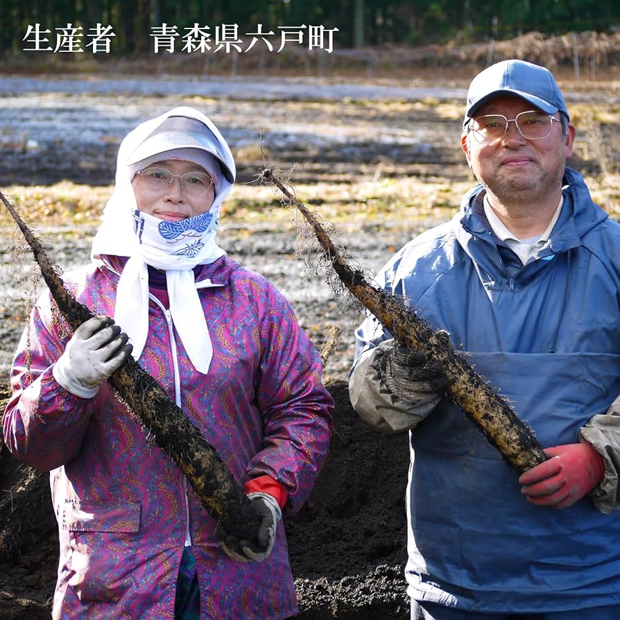 JUN3003①Lサイズ贈答用 2箱送料込 青森県春掘り長芋 掘りたて 青森県産長芋 贈答用3㎏ | おだわら・萬鱗グループホームページ