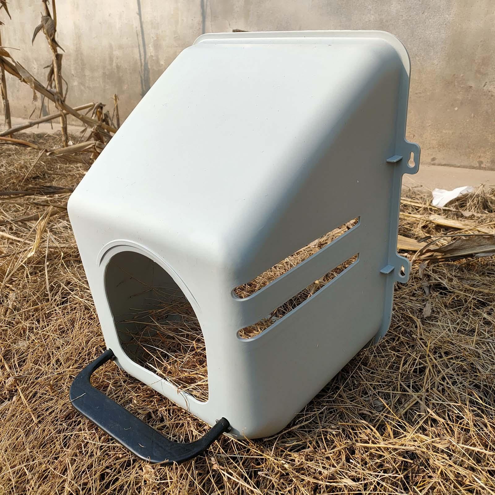 para Gallinas, para Gallinas Ponedoras Y Domésticos.