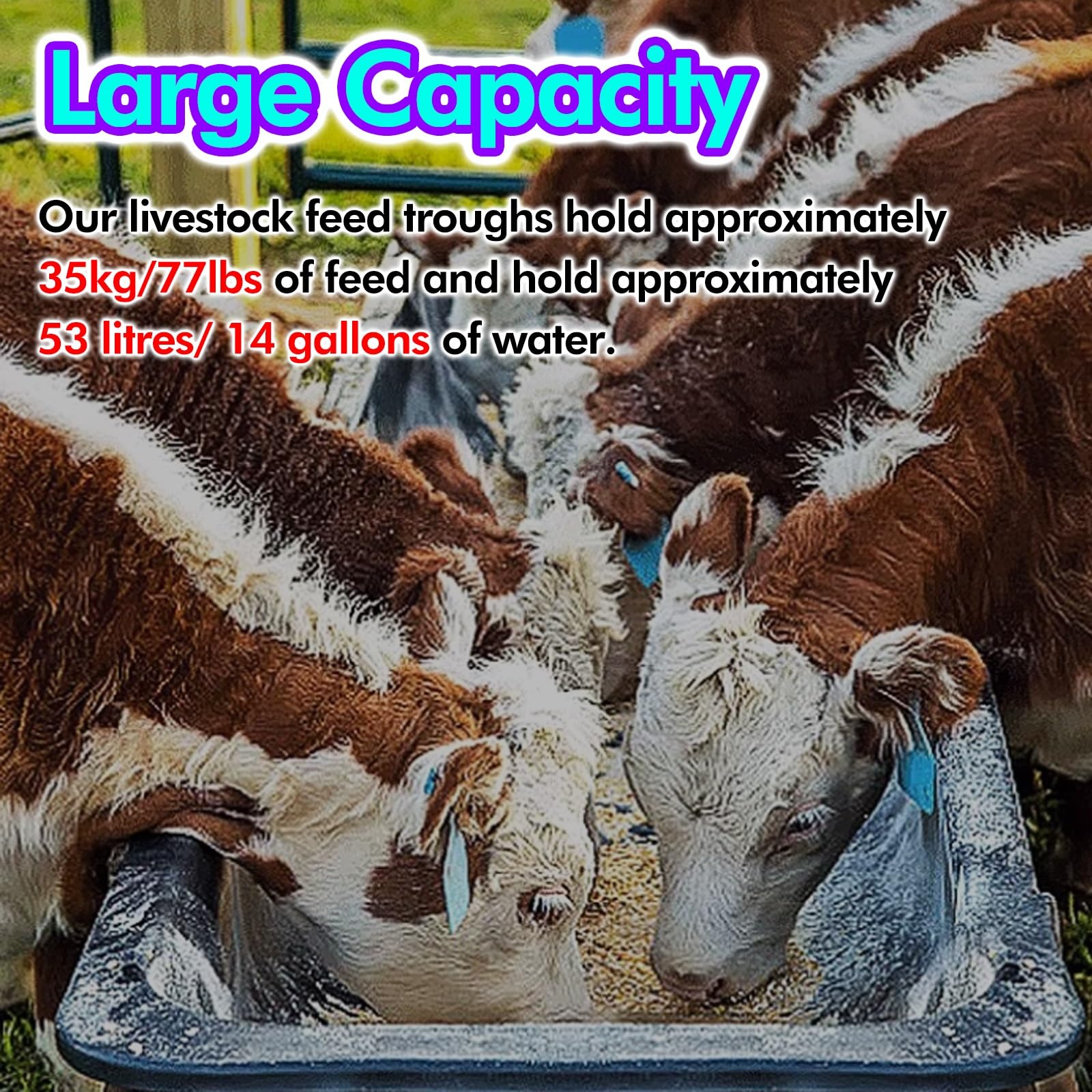 Comedero de plástico para Ganado de Gran Capacidad 35 kg/53 L, Cubo de pienso para Caballos más Profundo, Bebedero/comedero de heno y dispensador de Agua, comedero para Cerdos, Cabras, Cabal
