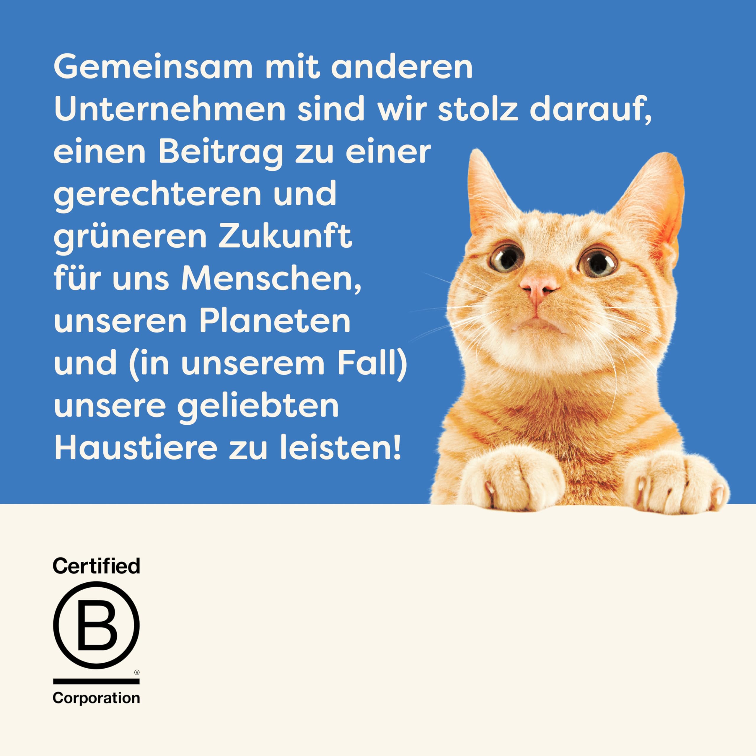 Applaws 100% natürliches Premium-Nassfutter für Katzen, Thunfischfilet in Brühe - Packung mit 24 x 156g Dosen