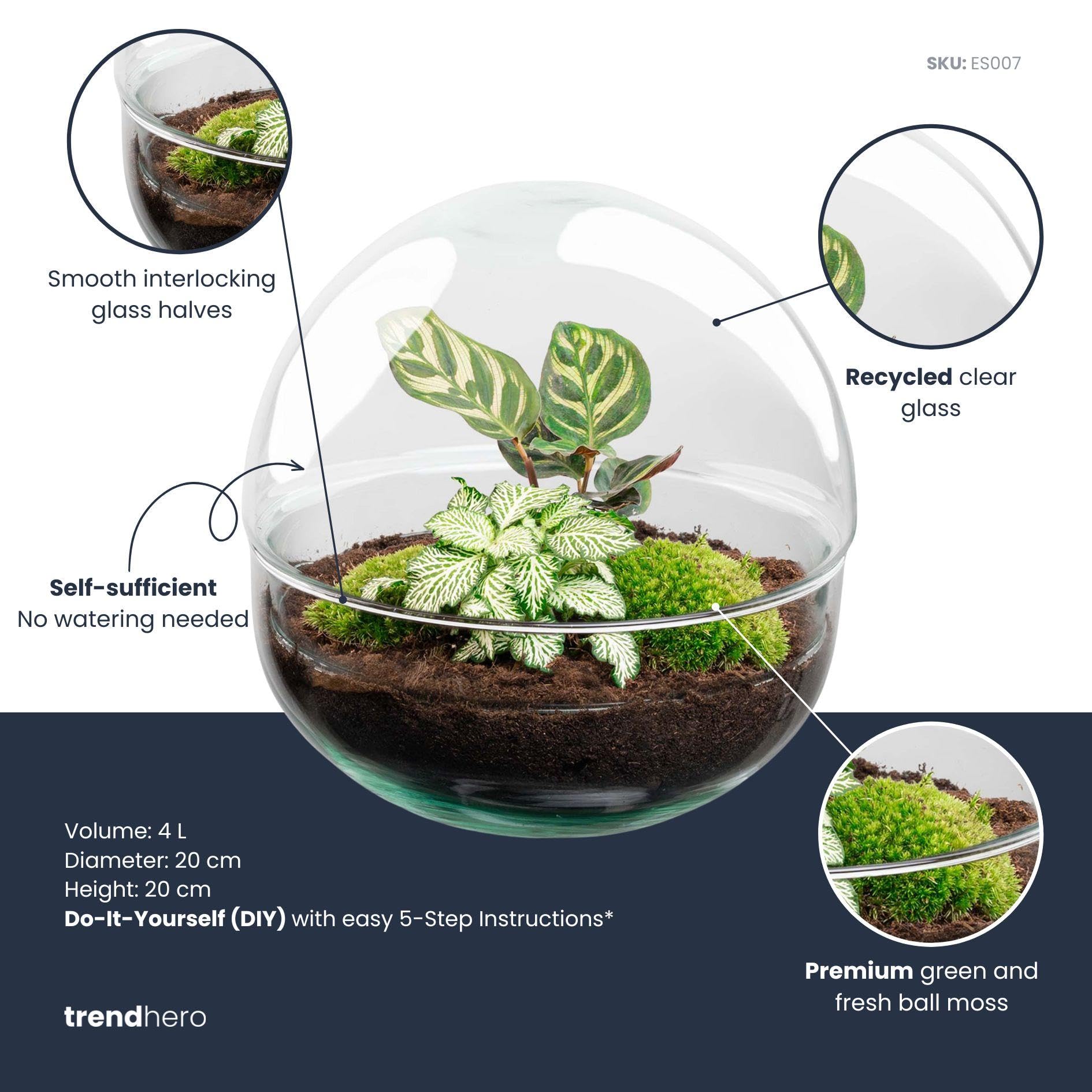 DIY szklane terrarium, dekoracja wnętrz, zestaw Ø 20 cm z roślinami