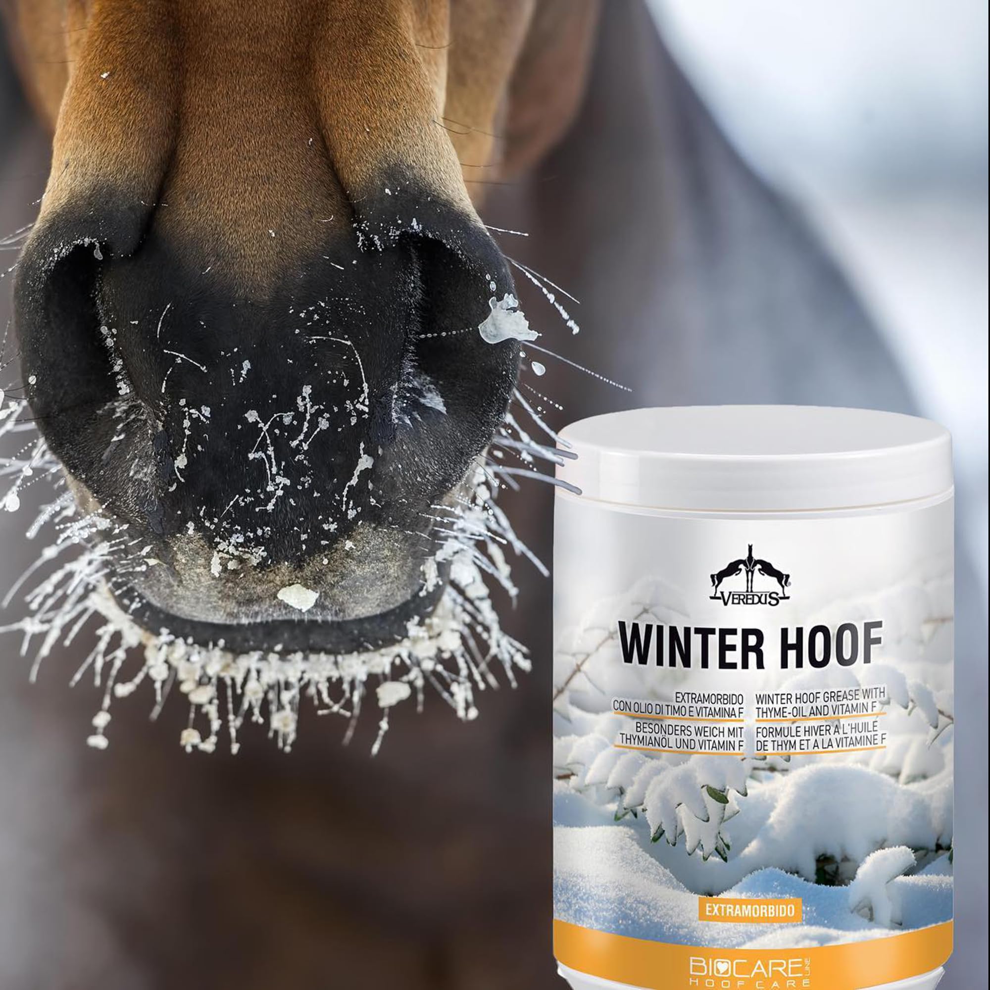 Veredus, Unguento invernale per zoccoli Winter Hoof, una confezione di unguento extramorbido con olio di timo e vitamina F - formato da 5000ml