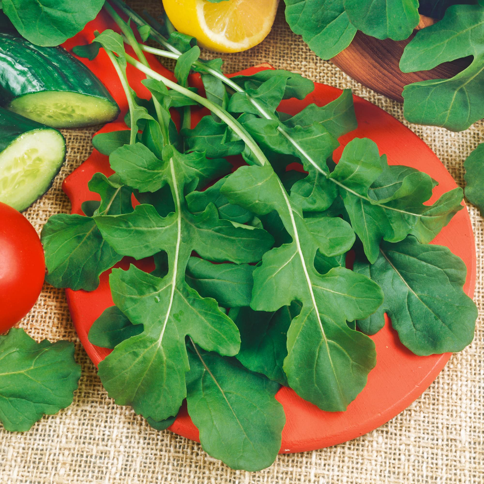 Runway Arugula Seeds - 0.25 Oz ~3550 Seeds - Non-GMO - Vegetable/Herb Garden, Growing Microgreens - Eruca vesicaria Sativa