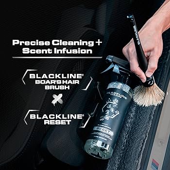 Amazon.com: Blackline Luxury Scented Interior Cleaner Reset
