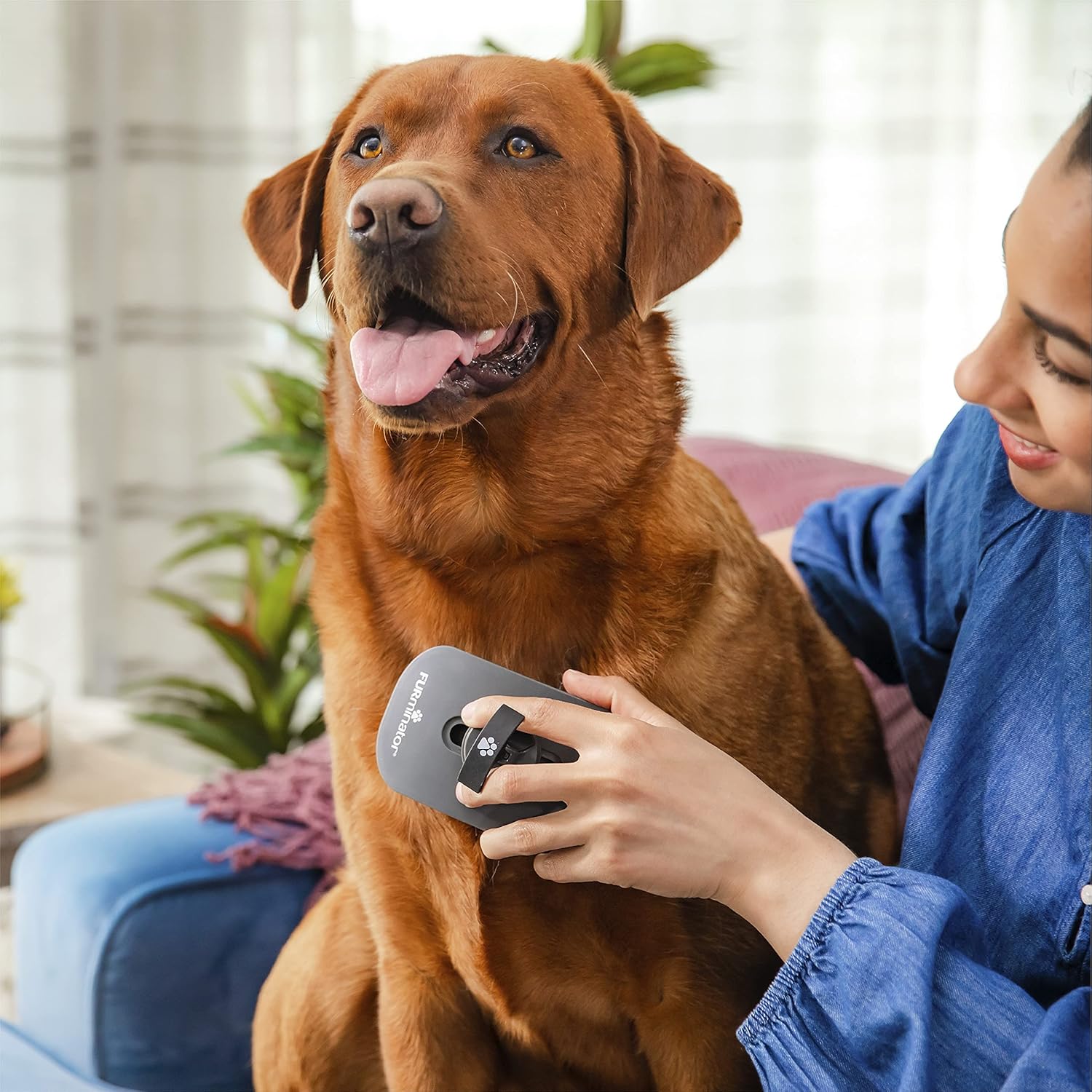 FURminator Sensitive Areas Tool, Grooming Tool for Dogs and Cats