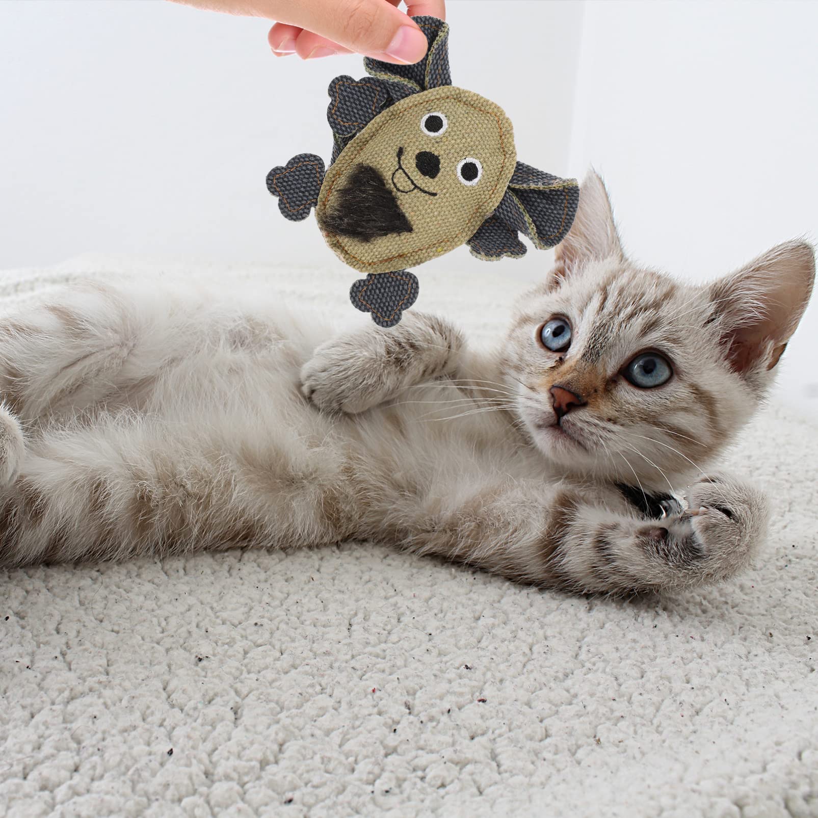 minkissy 15 Piezas Juguete para Gatos Divertidos Juguetes molares de Gatitos encantadores Juguetes para Gatos Juguetes para Perros pequeños Juguetes para Mascotas Resistentes a mordeduras