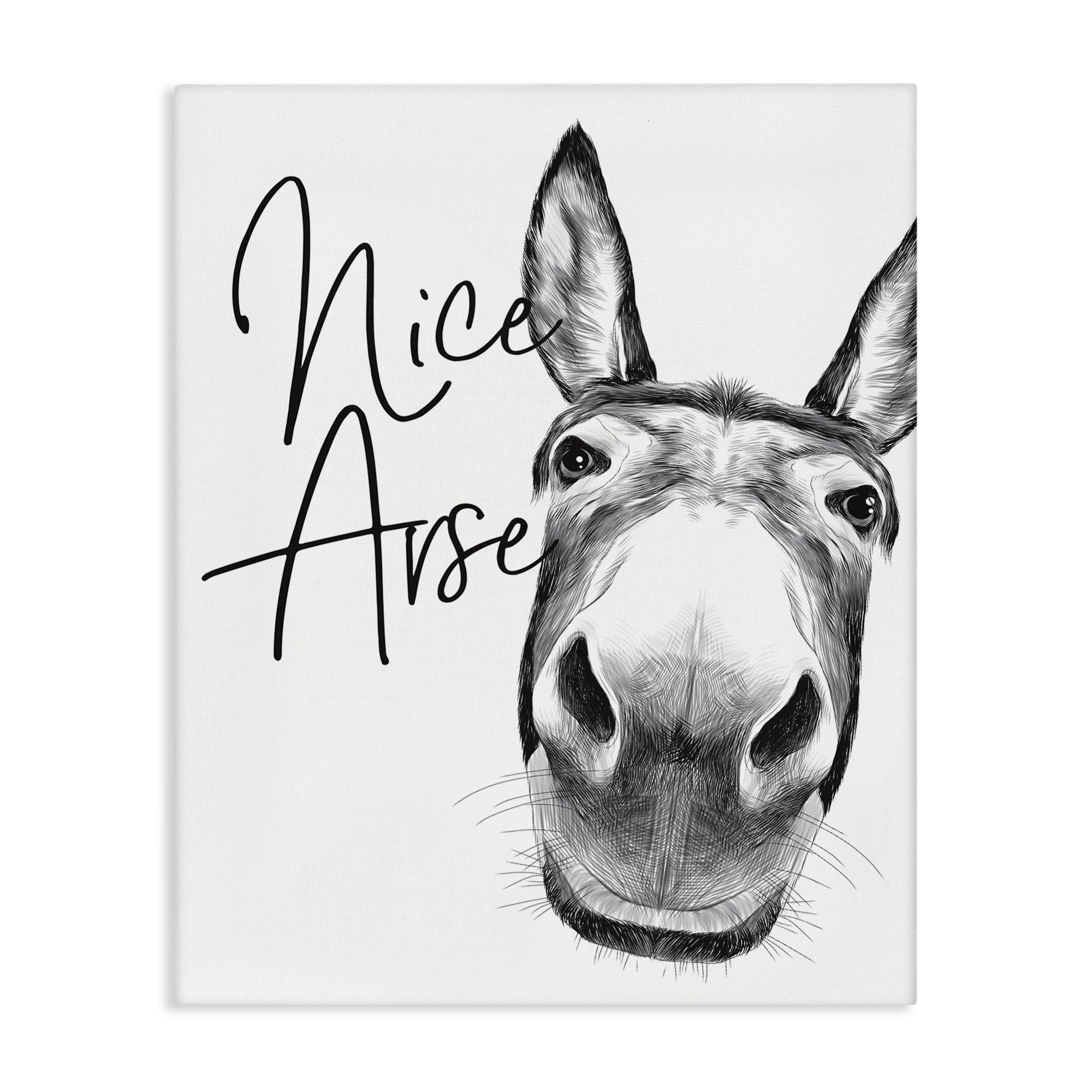 Stupell Industries 'Donkey Bathroom Humor', Canvas Art, 24 x 30 Inches, Easy to Hang and Sturdy, Made in USA, by Lettered and Lined