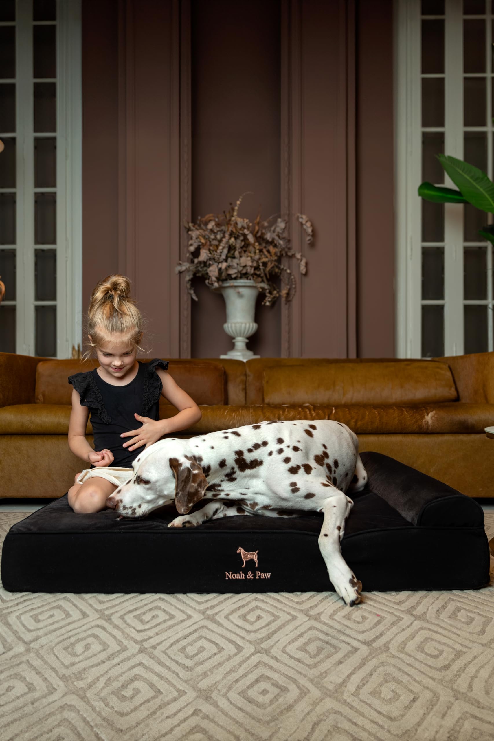 NOAH & PAW XL Dog Bed, 45x35x9.1 Inch, Orthopedic Large Dog Beds, Eggshell Memory Foam Infused with Cooling Gel, Waterproof, Machine Washable, Includes Inner Cover (Denim Collection) - image 2