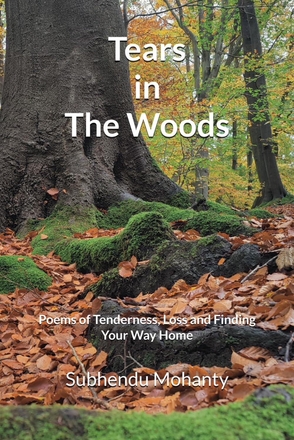 Tears in the Woods: Poems of Tenderness, Loss and Finding Your Way Home