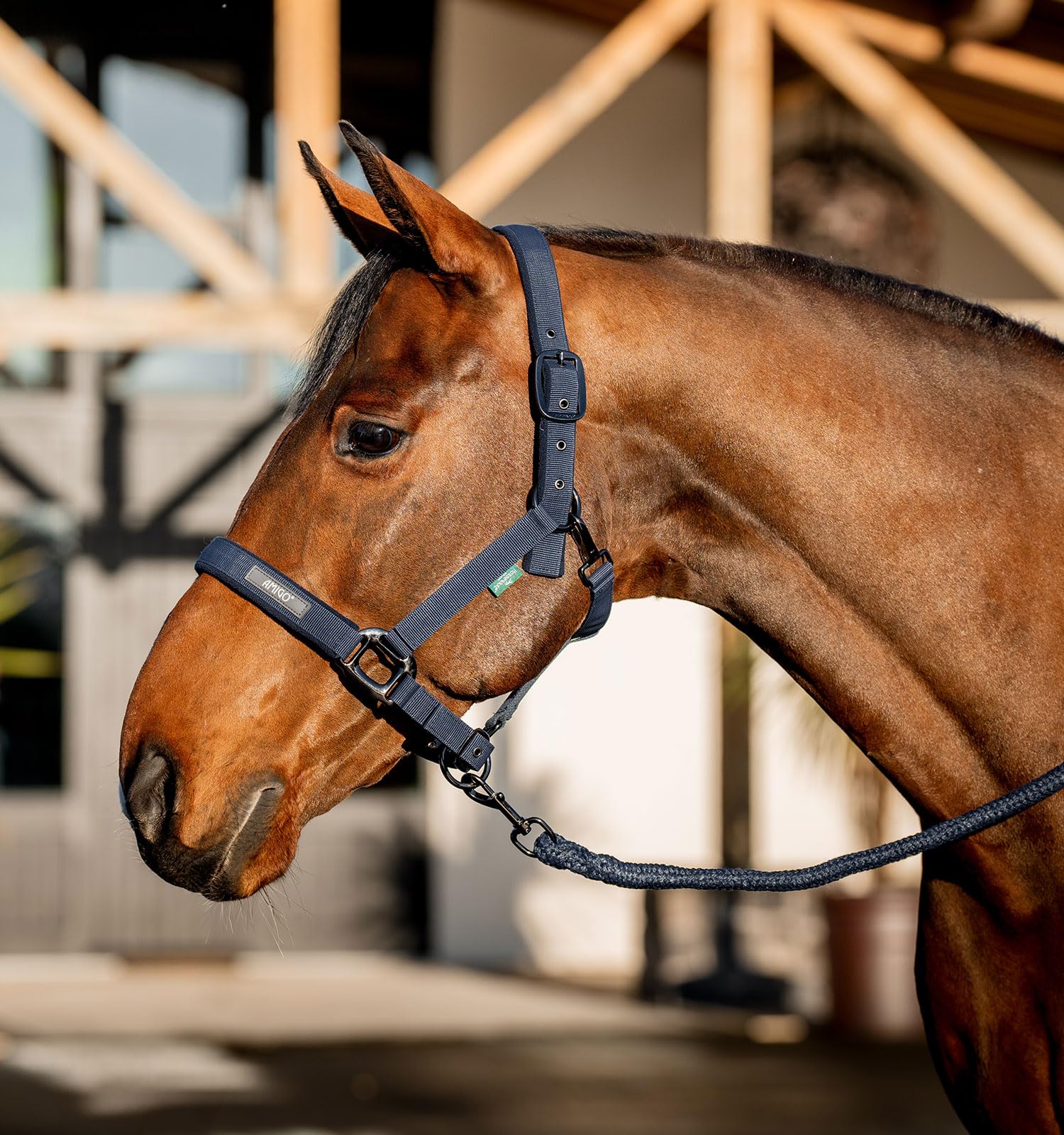Horseware® Amigo® Halfter & Führstrick Set
