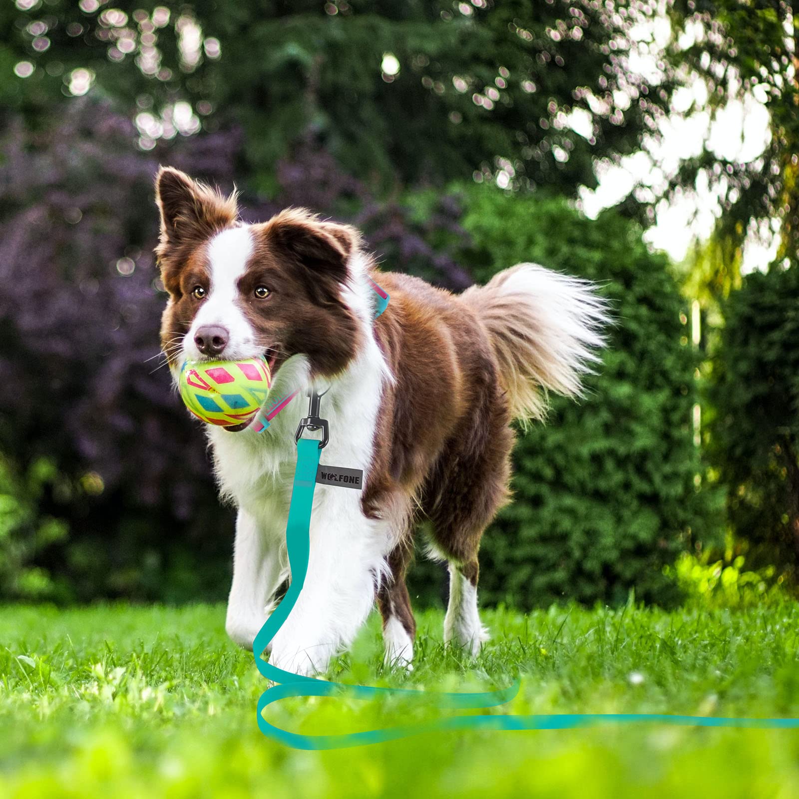 Wolfone Viridian Green 12m Long Line Lead Waterproof Recall Training Dog Lead, 12m*19mm*2mm - Image 3