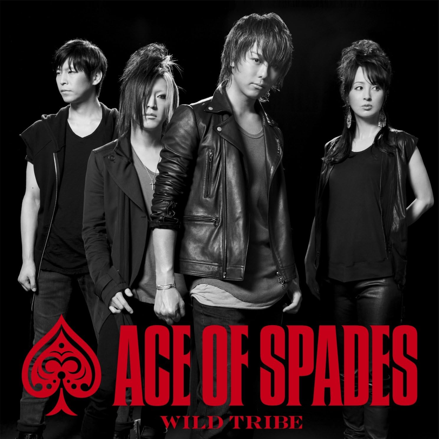 ACE OF SPADES AOS 2018 Tシャツ M WILD TRIBE