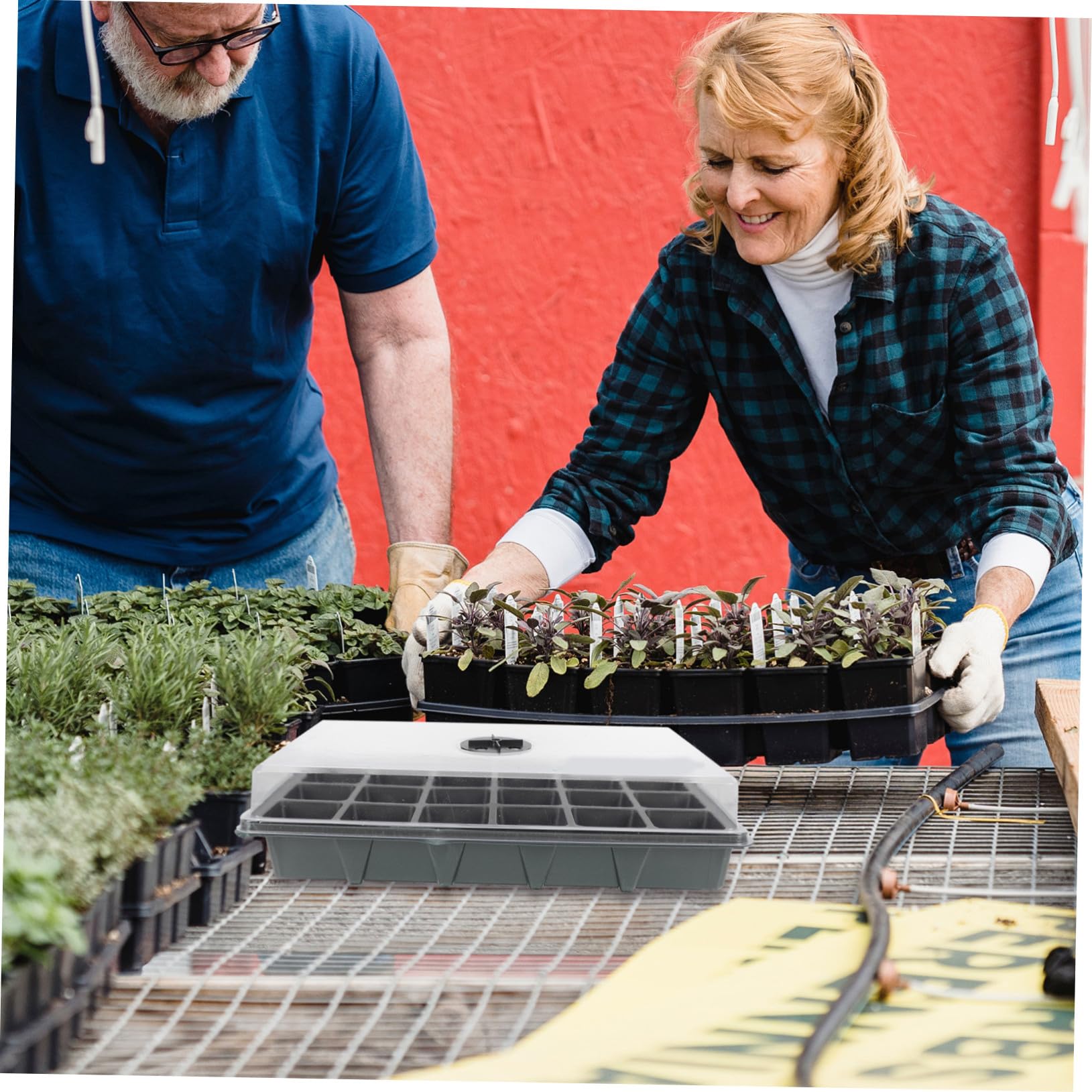 Hemobllo 2pezzi Vassoi per Germinazione Piante con Celle Trasparenti e Ventilate per Facile Semi e Piantine per e Coltivazioni Domestiche