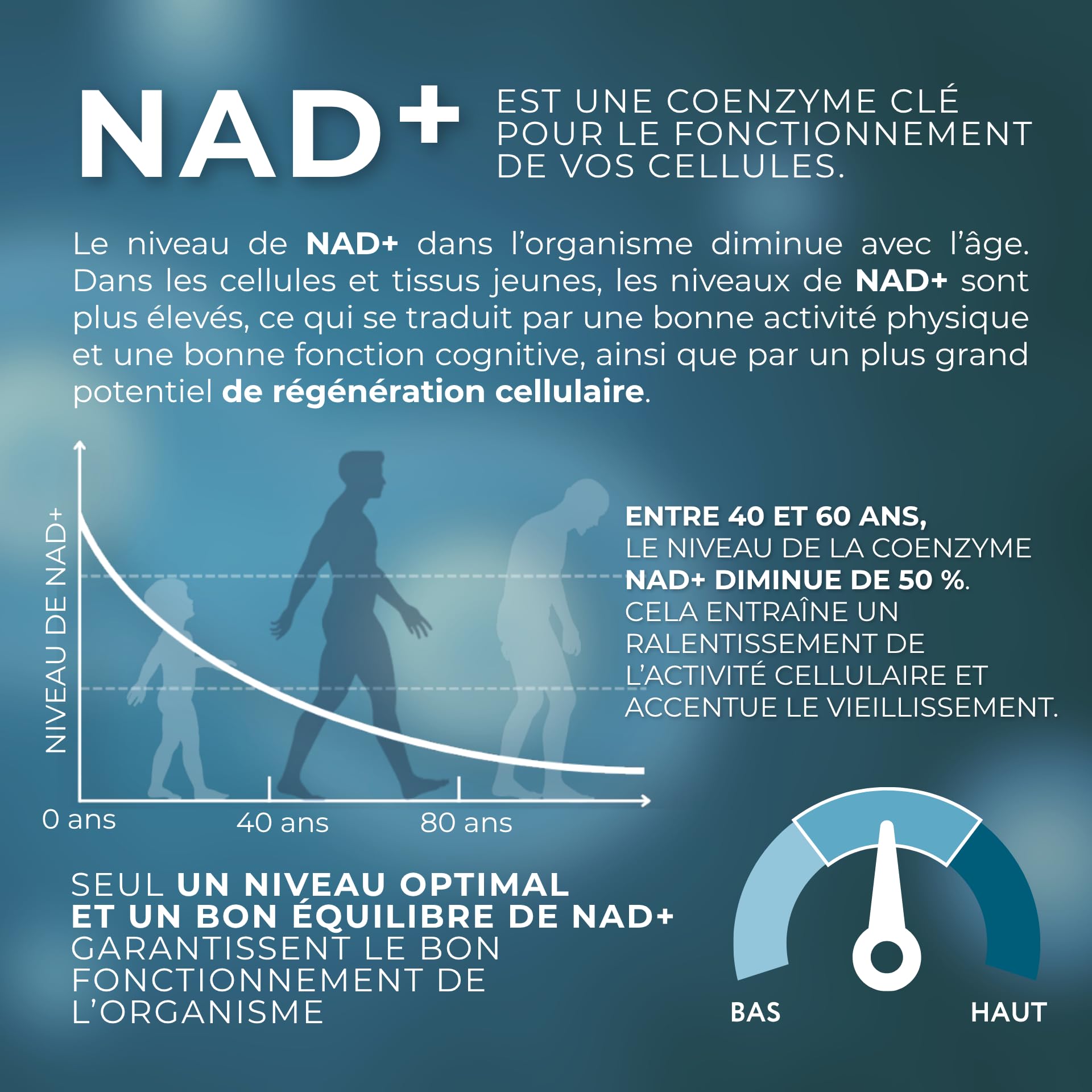 1-MNA, Supplément Anti-âge, Optimise le NAD+, Biohacking, Soutien à la Santé Cellulaire, Formulé Scientifiquement avec une Biodisponibilité Améliorée, 30 Capsules