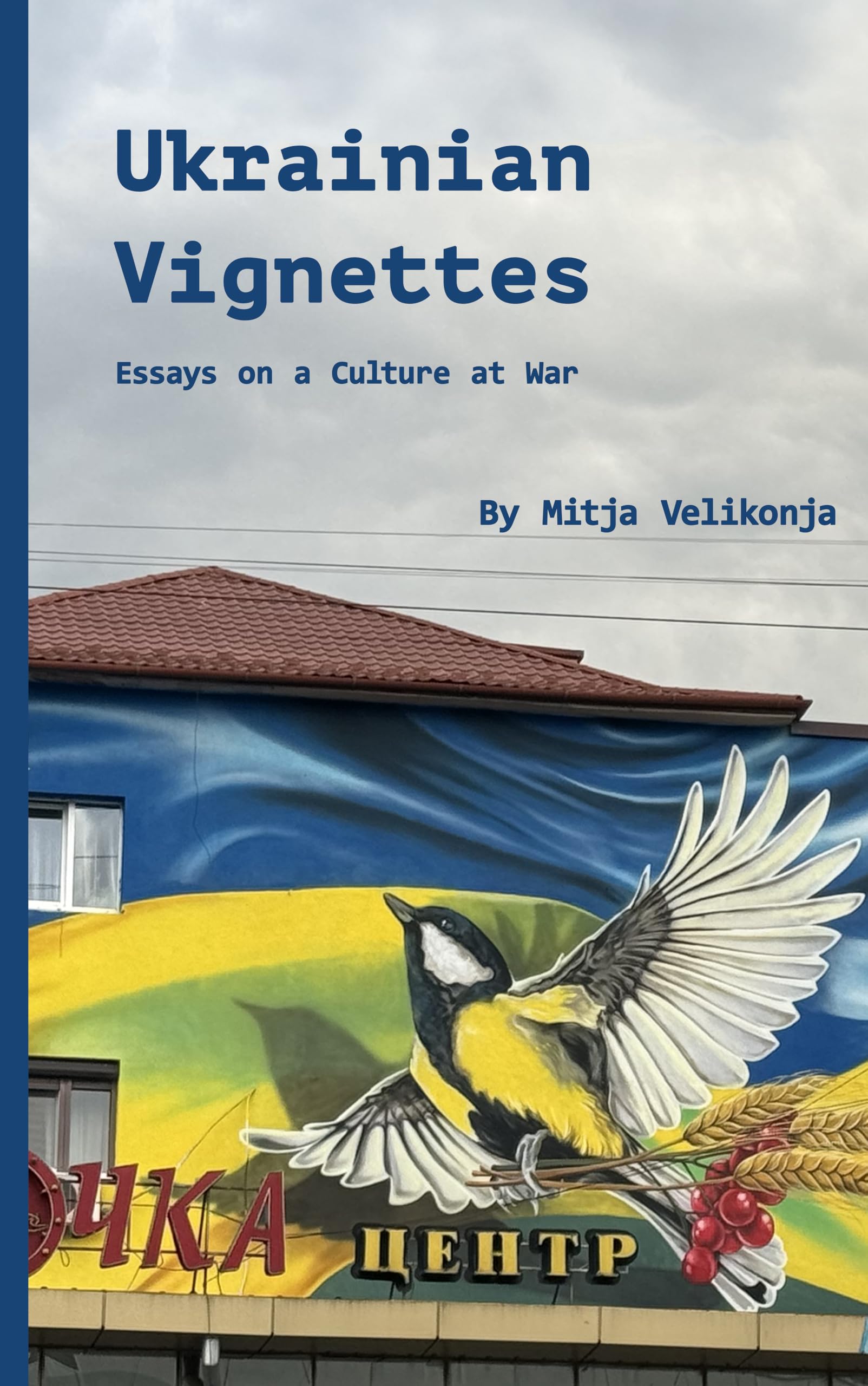 Ukrainian Vignettes récits de guerre à lire pour comprendre la géopolitique