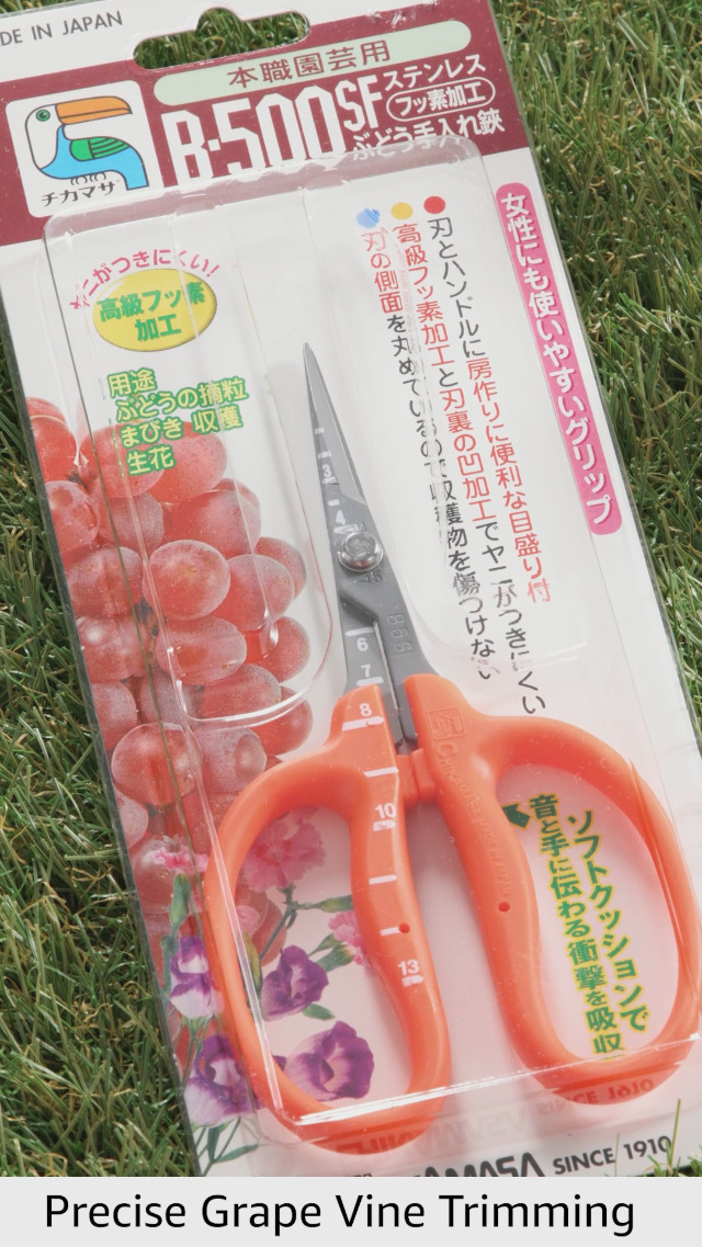 Amazon.com: CHIKAMASA B-500SF Stainless Steel Fluorine