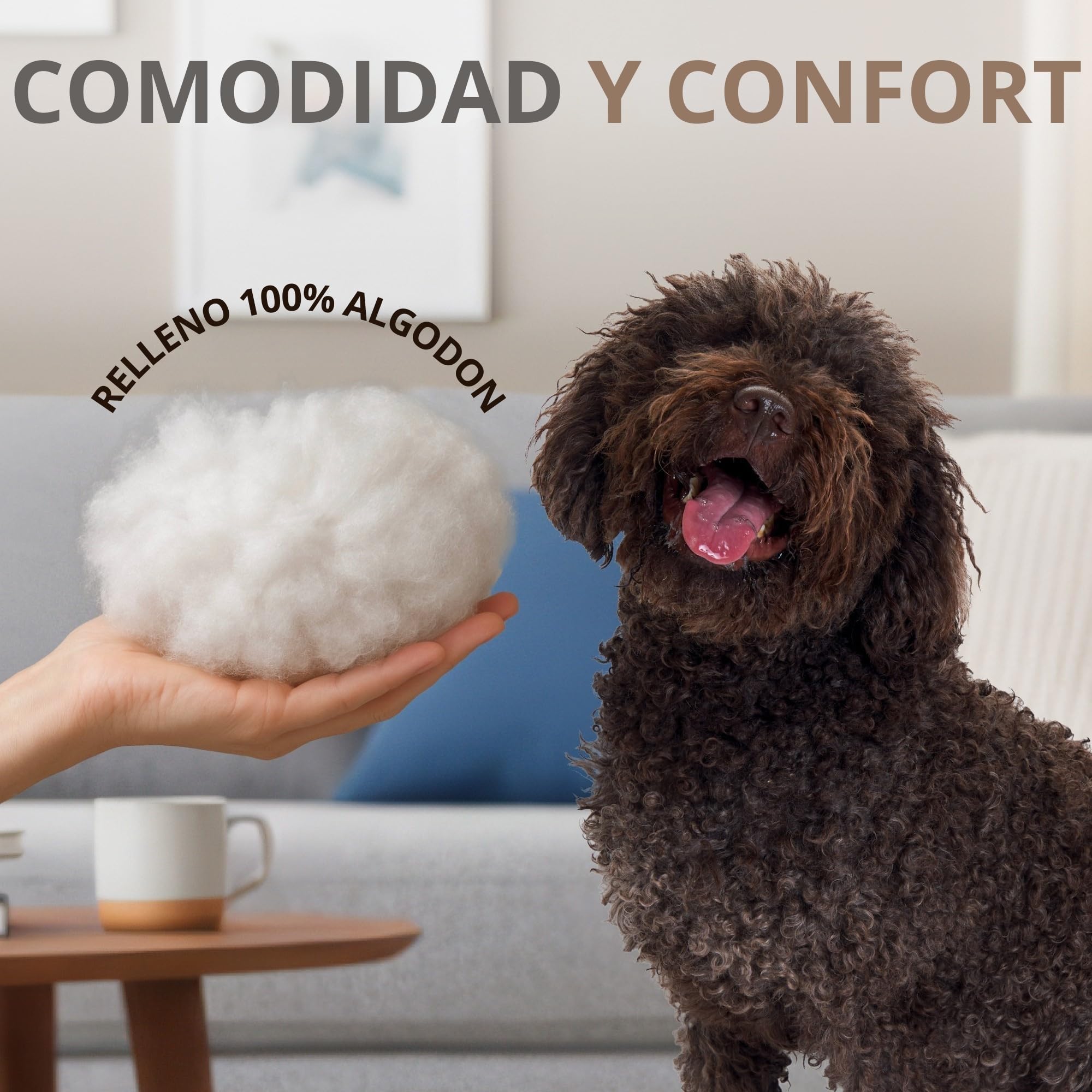 PESK Cama Perro Pequeño 57x47x15cm con Hueso de Juguete, Acolchada Relleno de Fibras, Cama Perros Medianos Lavable, Resistente Mordeduras, Camas Perros Medianos Antideslizante, Dog Bed (Beige Talla S)