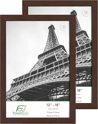Vista 94 de FrameWorks Marco para póster de madera de 18 x 24 pulgadas, marcos clásicos de color negro mate con vidrio acrílico inastillable, fotos, pósters