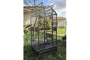 Stunning and Sturdy wrought iron bird cage