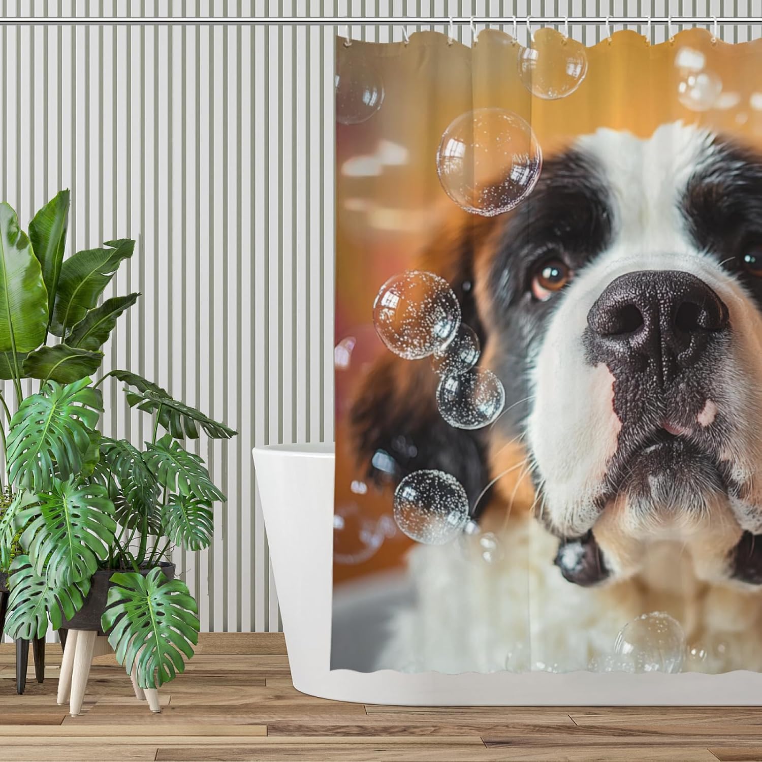 NGZ Saint Bernard Dog Shower Curtain, Cute Saint Bernard Dog with Soap Bubble, Orange Shower Curtain Set with 12 Hooks for Spring Summer Bathroom Decor, 72X72inch