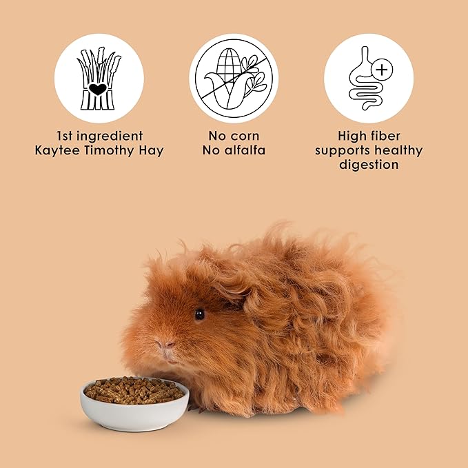 Kaytee Alimento Completo para Cobayo Timothy 5 lb miniatura 8
