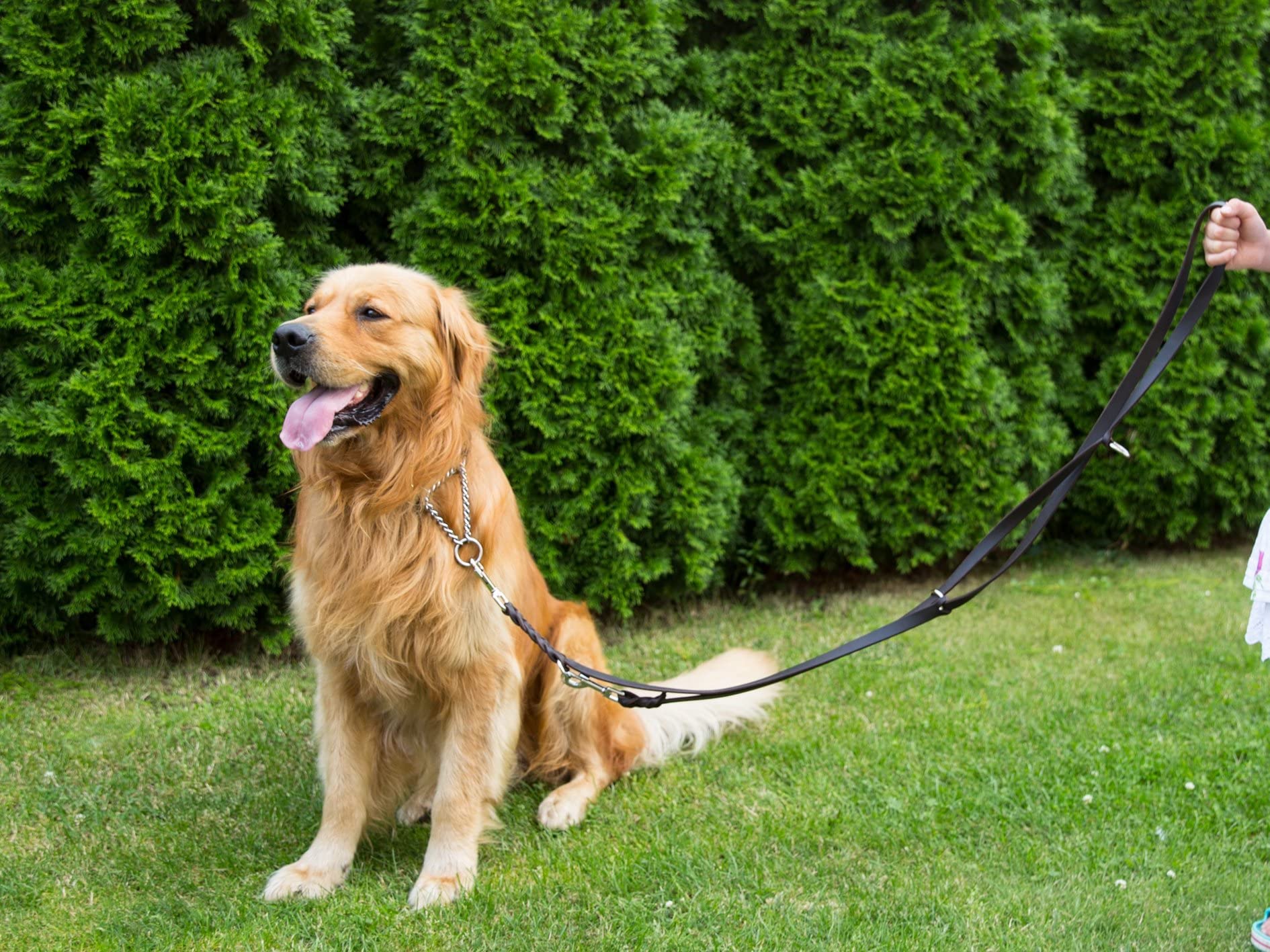 CopcoPet Correa para perro de piel engrasada, 3 m x 20 mm, coñac, ajustable en 3 posiciones, trenzada, con cierres de cromo, agarre resistente, correa para el cuello para perros grandes, ideal para