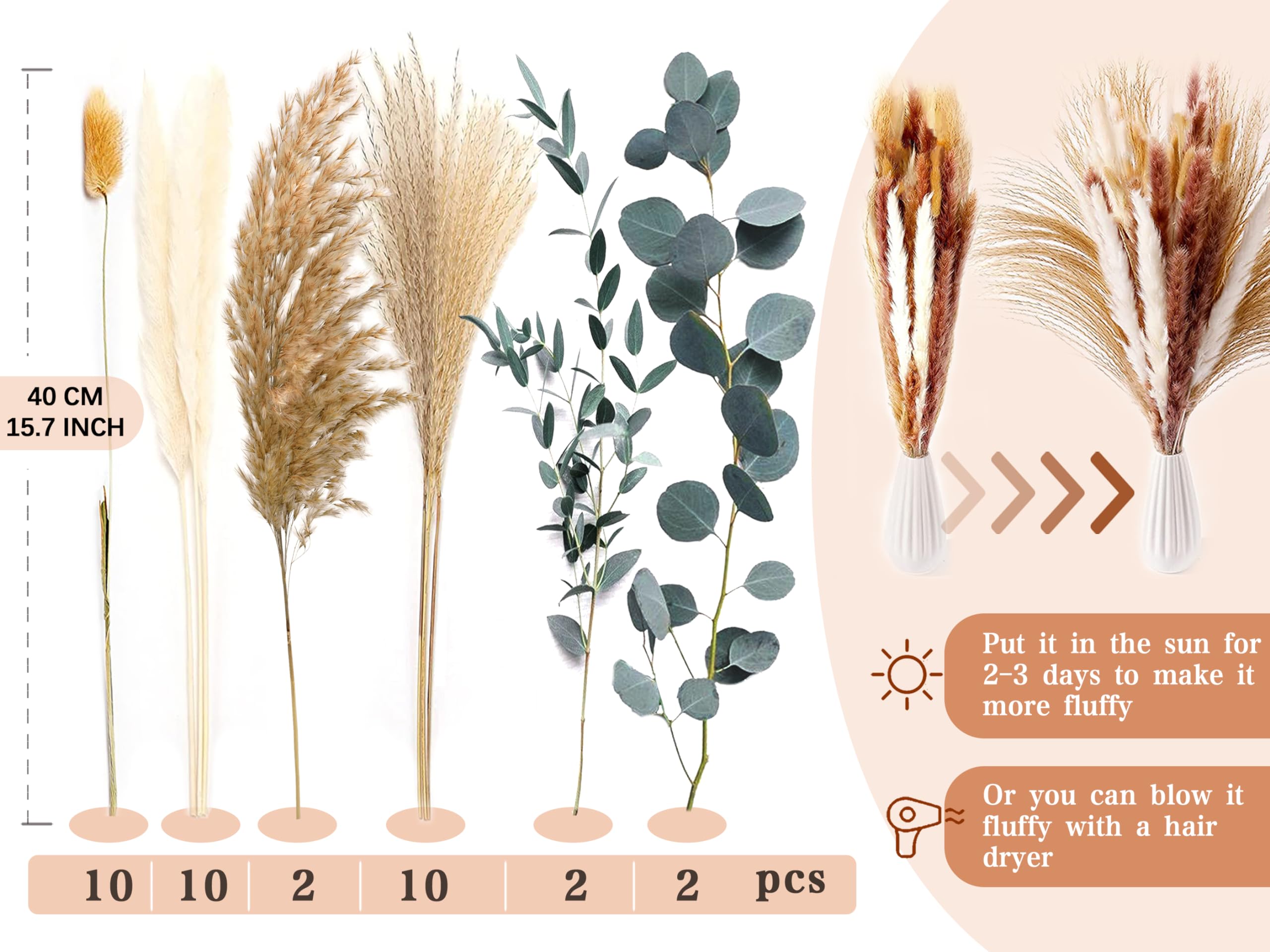ZJTAPE Pampas Grass Dried Natural Dried Flowers, Eucalyptus Dried and Lagurus Deco, Bunny Tails Dried Flower Bouquet Crafting - Image 2