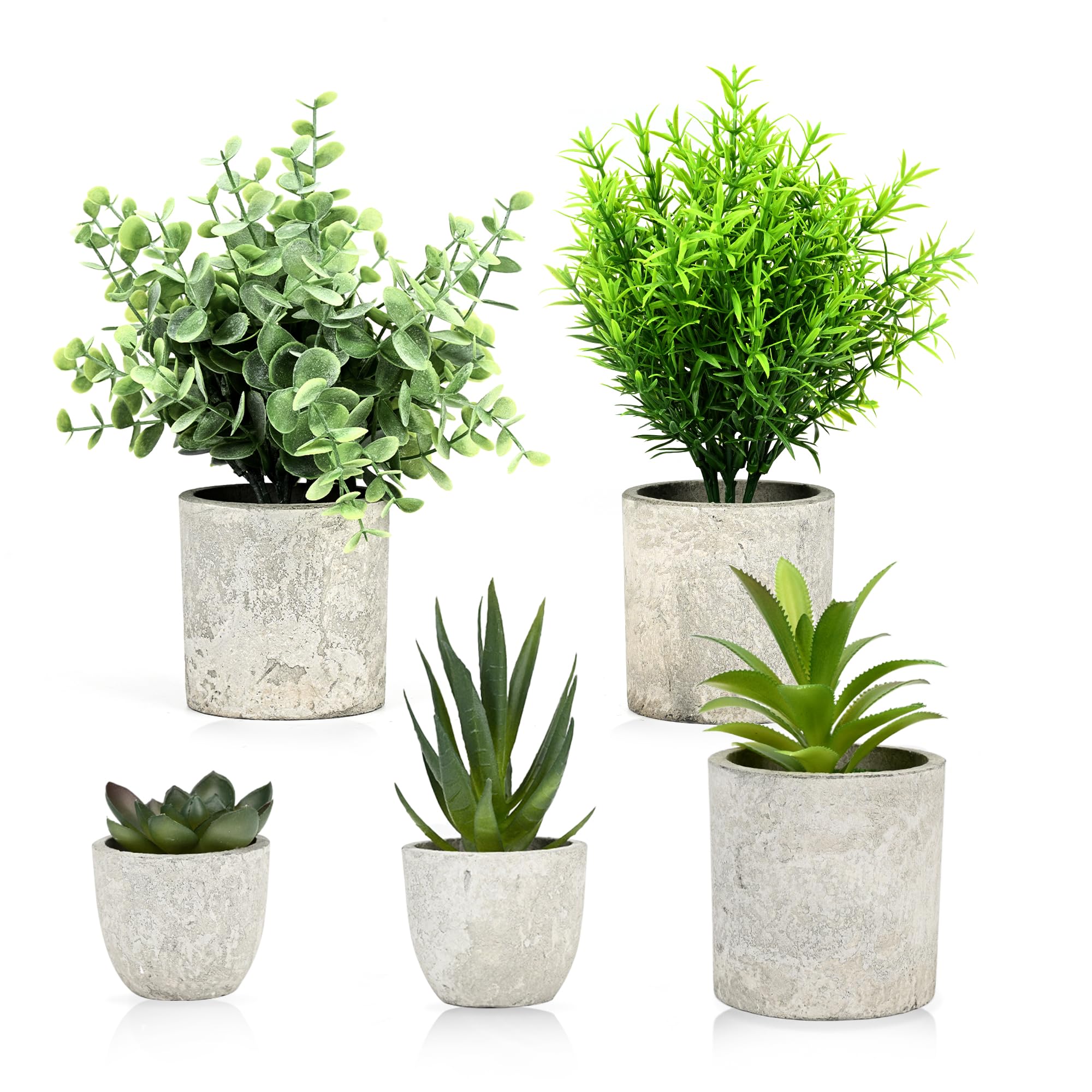 Pack of 5 Artificial Plants Indoor, Lifelike Fake Plants Set with Snake Tongue, Agave Succulent & Eagle Claw Aloe, No Maintenance House Plant Decor for Shelf Desk Windowsill, Faux Plant Bundle for Hom