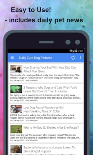 Daily Cute & Funny Dog Pictures