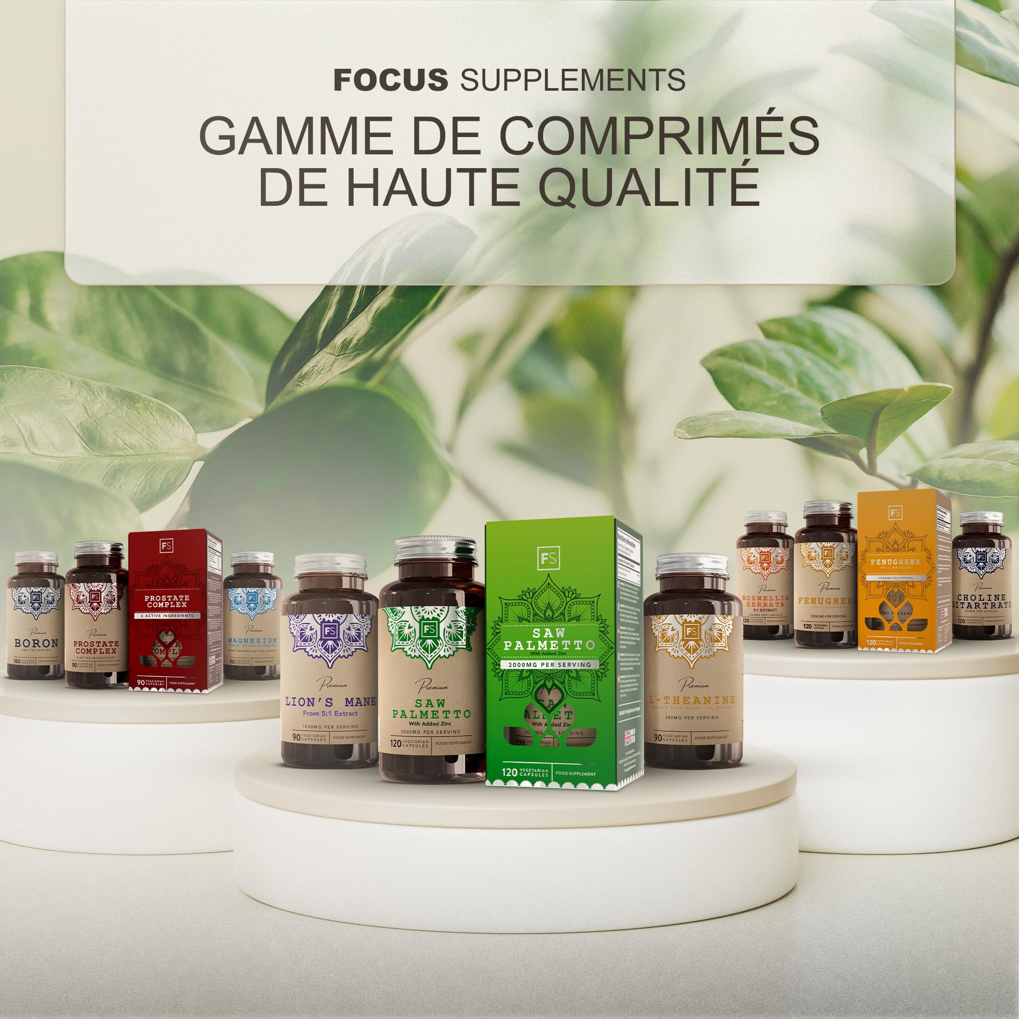 FS Lions Mane, 180 Gélules, 1000mg Extrait 5:1 Mushroom | Extrait de Lion's Mane 5:1 | Formule Champignon Haute Teneur | Sans OGM, Gluten & Produit Laitier | Fabriqué au Royaume-Uni