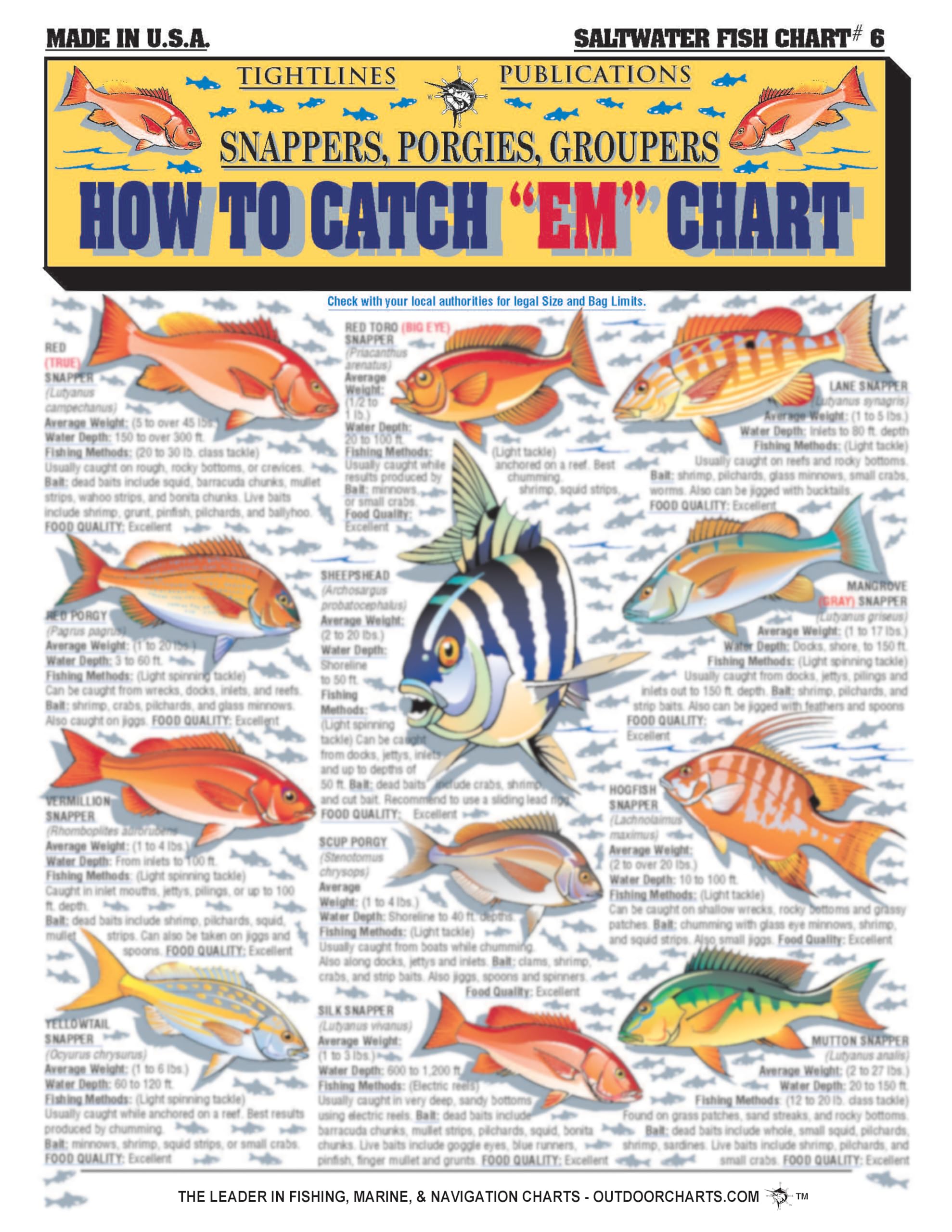 Saltwater Fish Identification Chart #6 - Waterproof Quick Reference Fishing Guide - Species ID + Fishing Methods - (Florida, Atlantic, Gulf of Mexico, and Caribbean) - Great Gift for Beginners