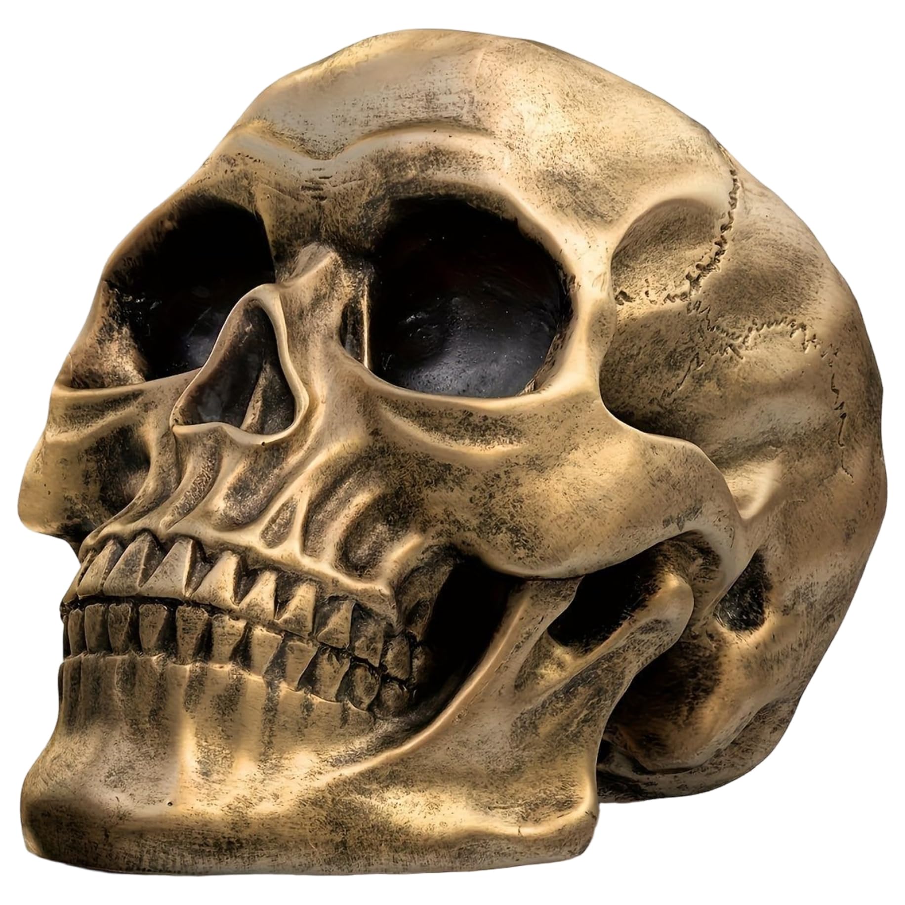 Peosaard Golden Skull, Human Skull, Vintage Life Size Decor, Resin Halloween Skeleton Head For Home Office Decoration, Halloween Decor