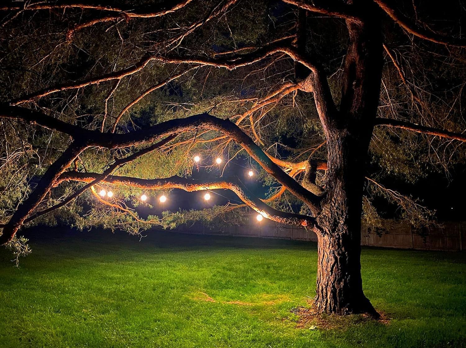 Magictec LED Shatterproof String Lights Commercial Grade with 15 Hanging Sockets 48 Ft Black Outdoor Weatherproof Cord Strand for Patio Garden Porch Backyard Bistro Gazebo Party Deck Yard